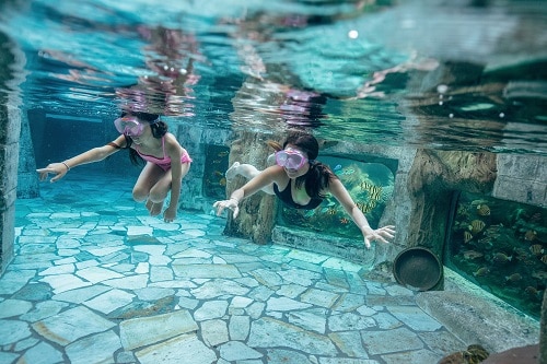 De allerleukste zwembaden van Nederland op een rij Beeld Ouders van Nu Redactie