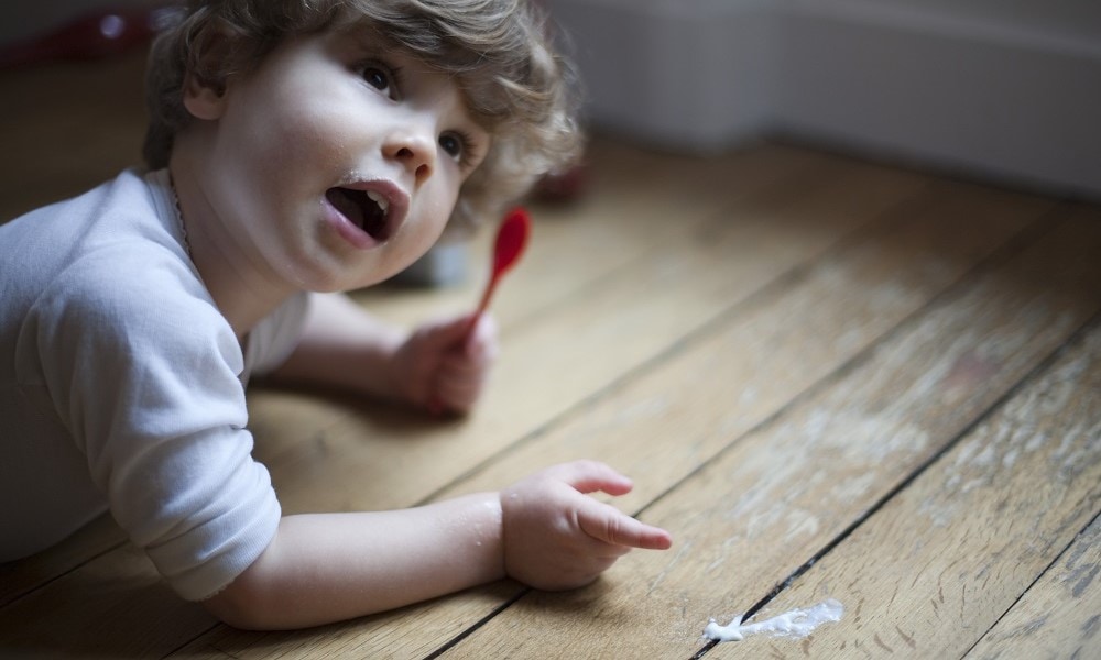 Klopt de 5 secondenregel echt als je eten laat vallen? Ouders van Nu Redactie