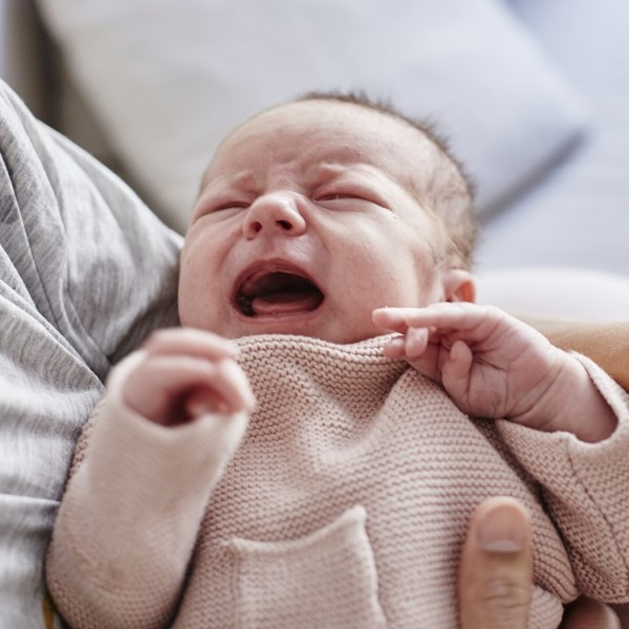 baby s krijgen in de buik al roet van luchtvervuiling in hun organen