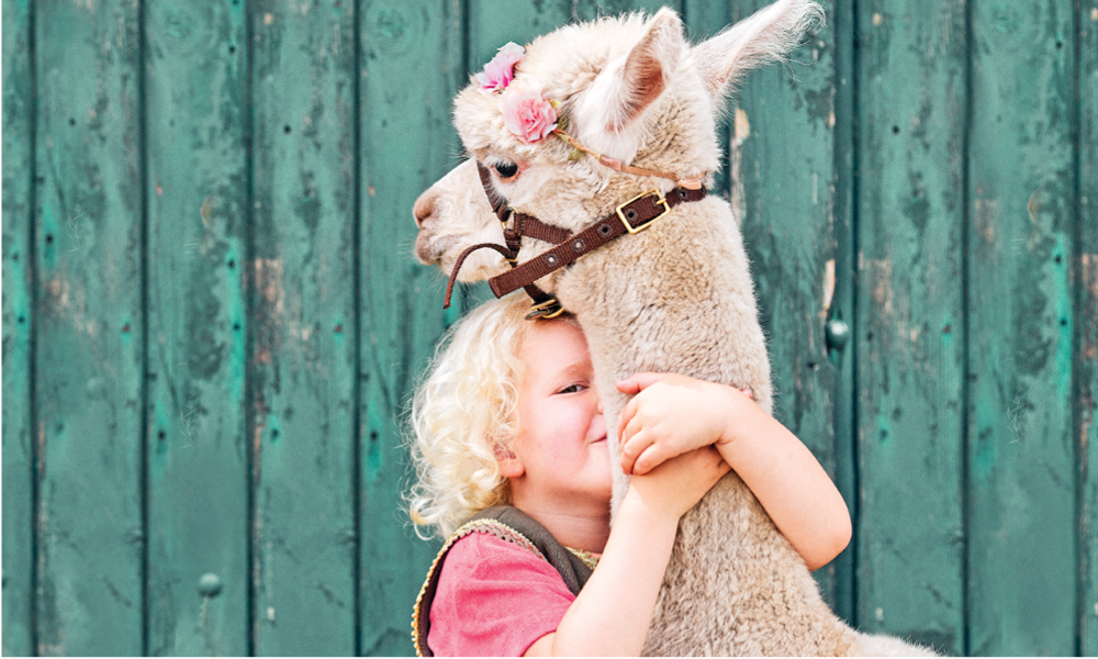Nina is drie en legt uit hoe je een alpaca het beste aait Ouders van Nu Redactie