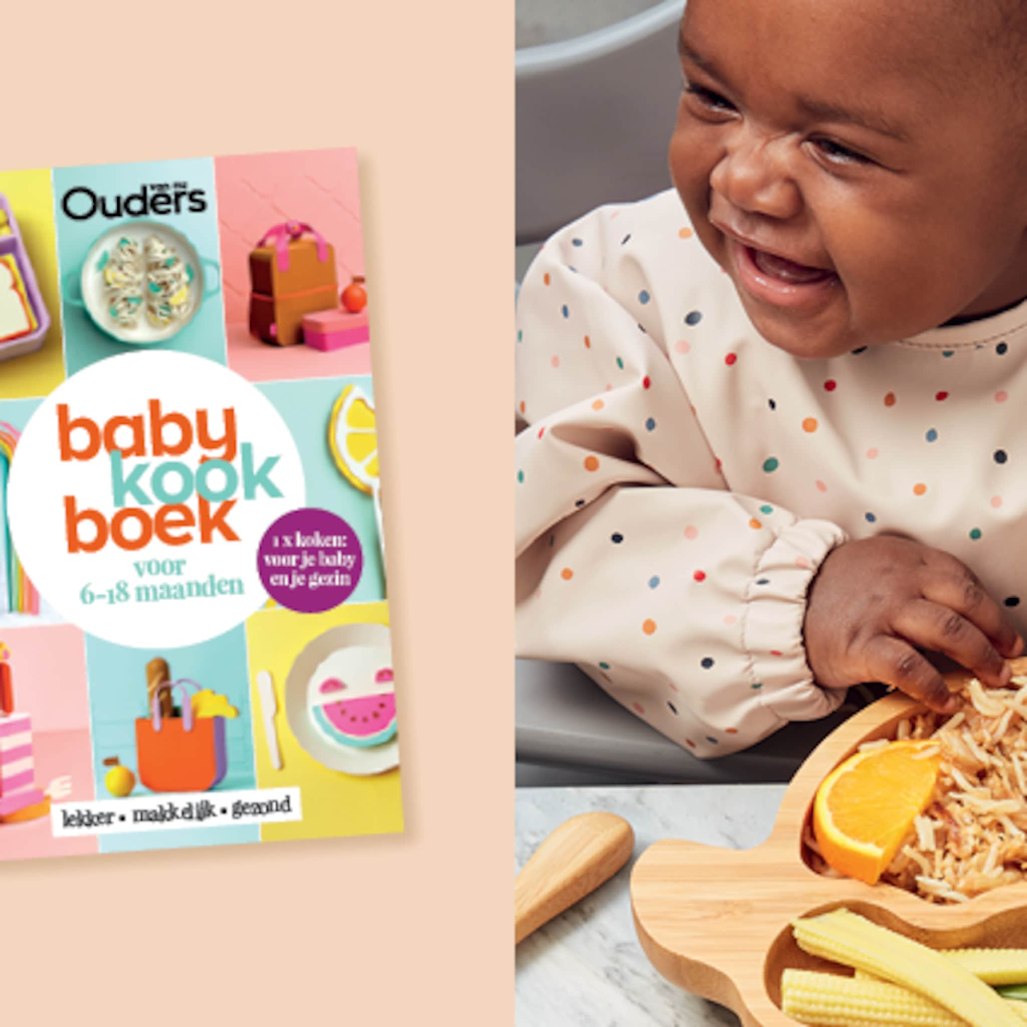 koken voor t hele gezin met het nieuwe ouders van nu babykookboek
