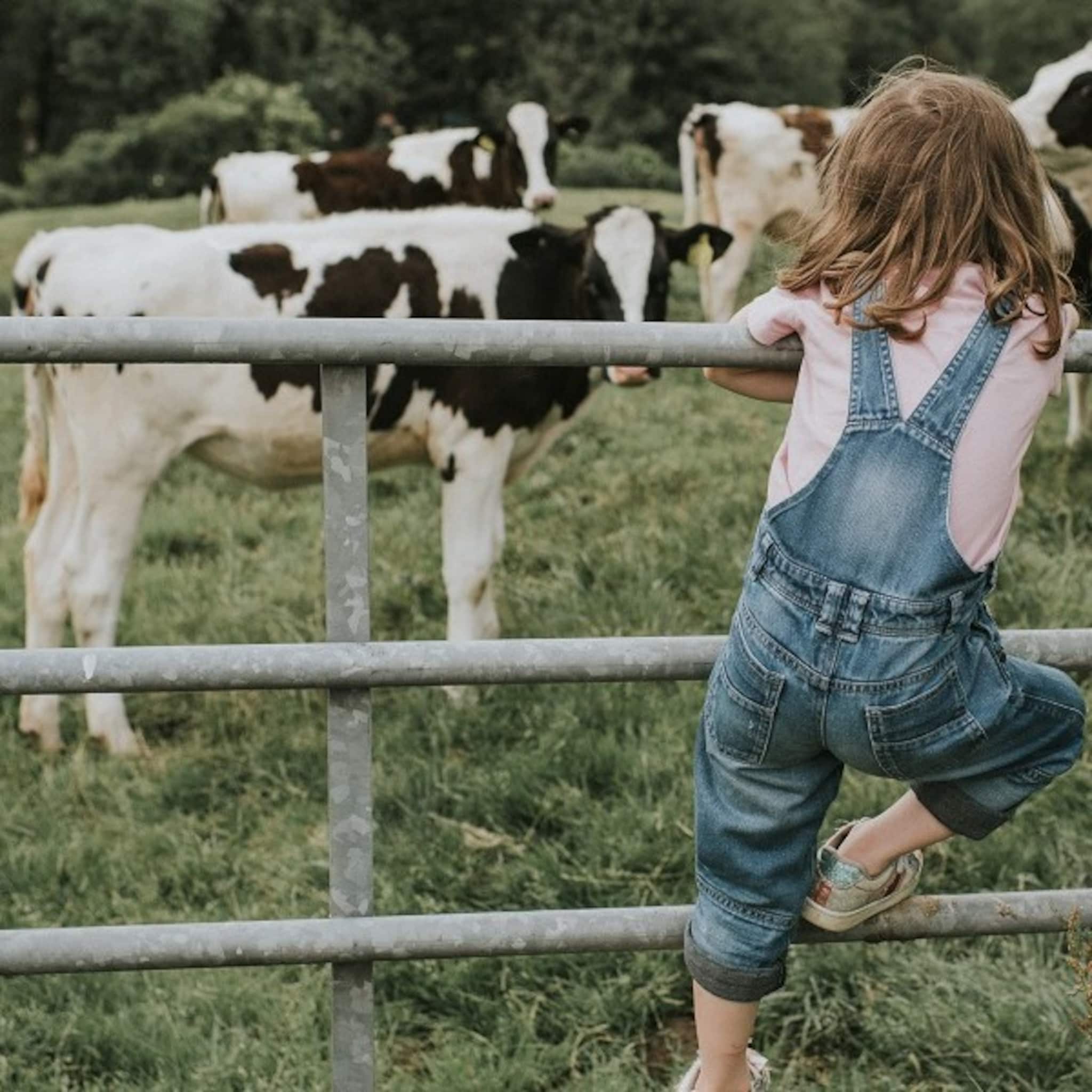 de hele dag buiten waarom steeds meer ouders kiezen voor kinderopvang in de natuur