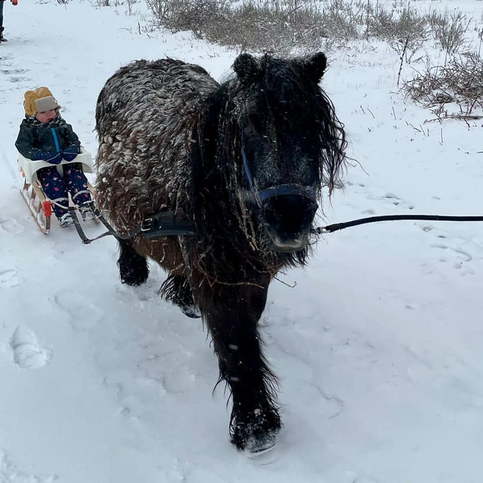 16x de leukste foto’s van jullie kinderen in de sneeuw Ouders van Nu Redactie