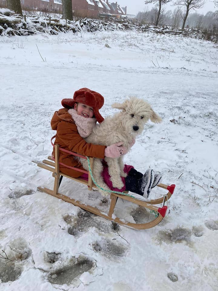 16x de leukste foto’s van jullie kinderen in de sneeuw Ouders van Nu Redactie