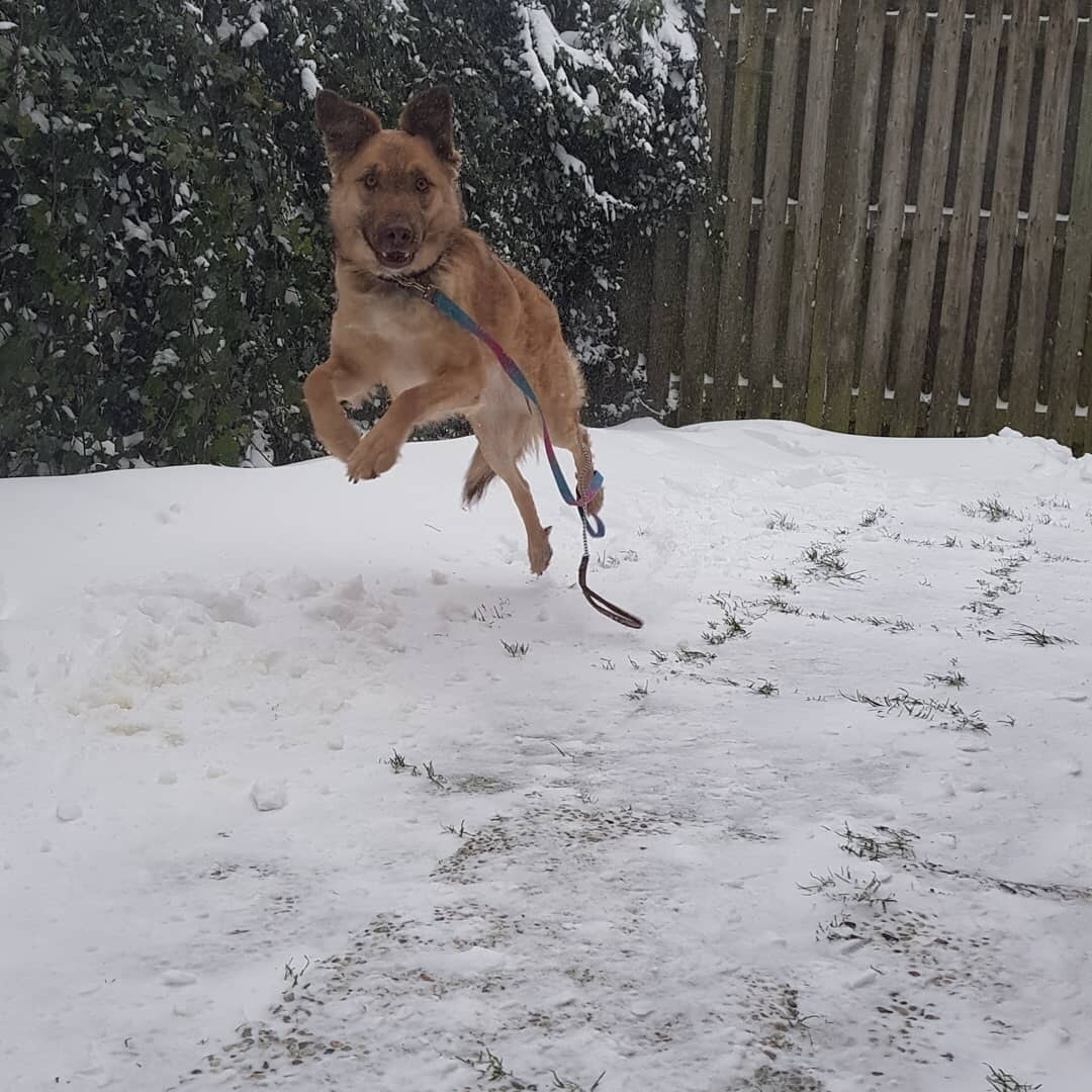 16x de leukste foto’s van jullie kinderen in de sneeuw Ouders van Nu Redactie