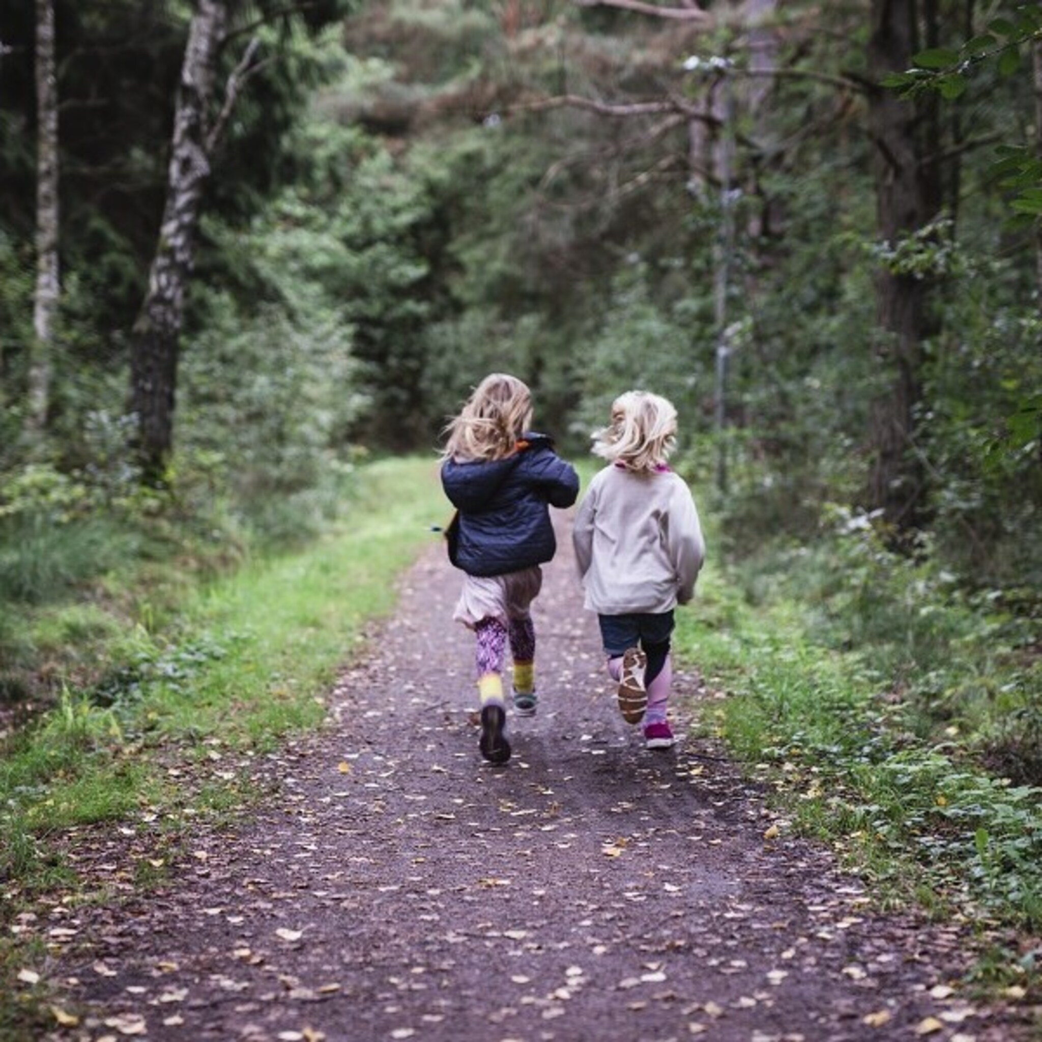 zo houd je het leuk 8 tips voor de avondvierdaagse