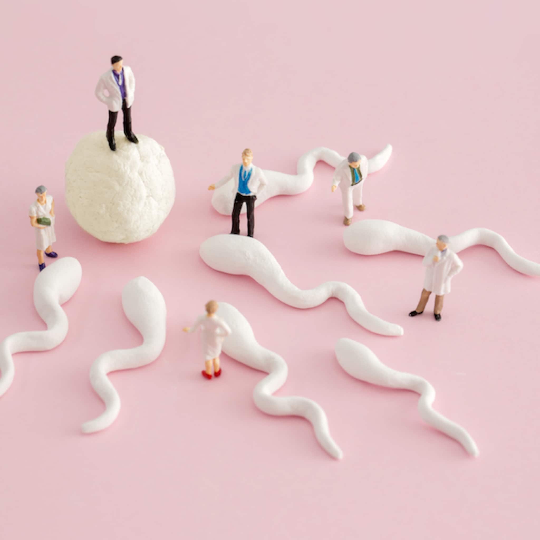 slecht nieuws kwaliteit sperma holt achteruit door plastic en weekmakers