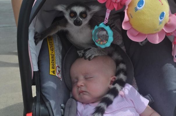 Kijk en geniet! 9 hilarische blunders van ouders Ouders van Nu Redactie
