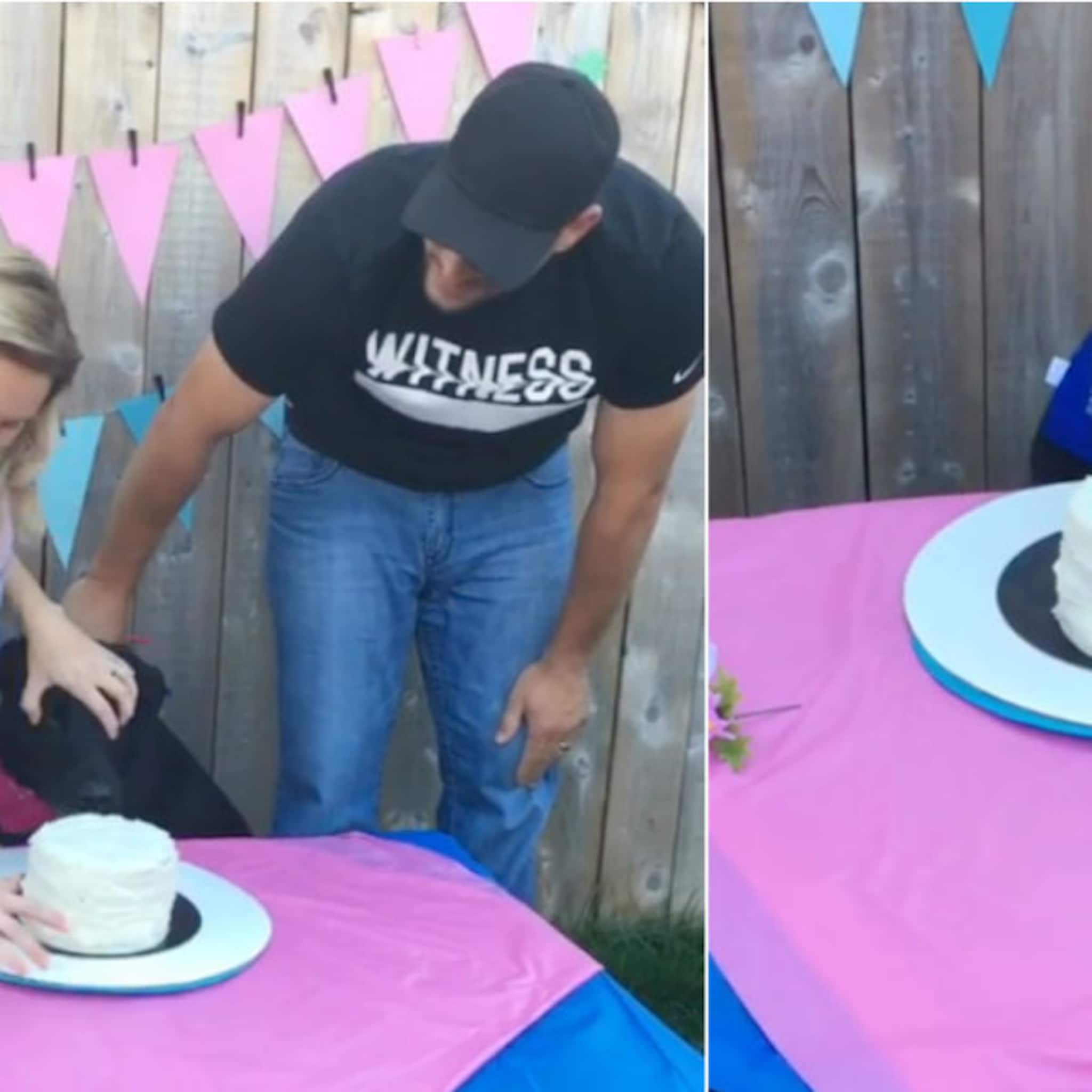originele gender reveal laat je hond onthullen of het een jongen of meisje wordt