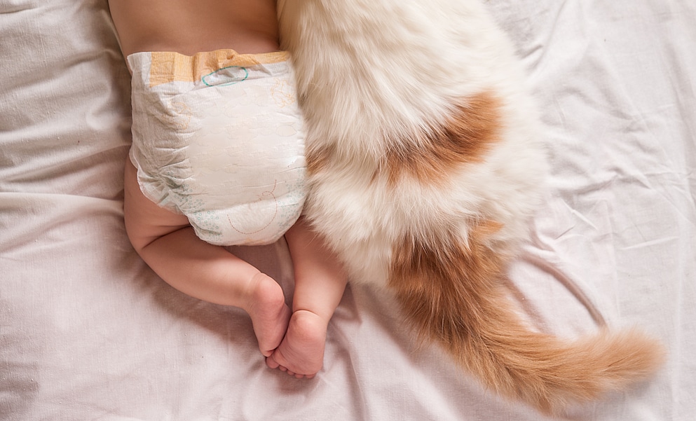 Dit is waarom je kat dolgraag bij je baby ligt Getty Images