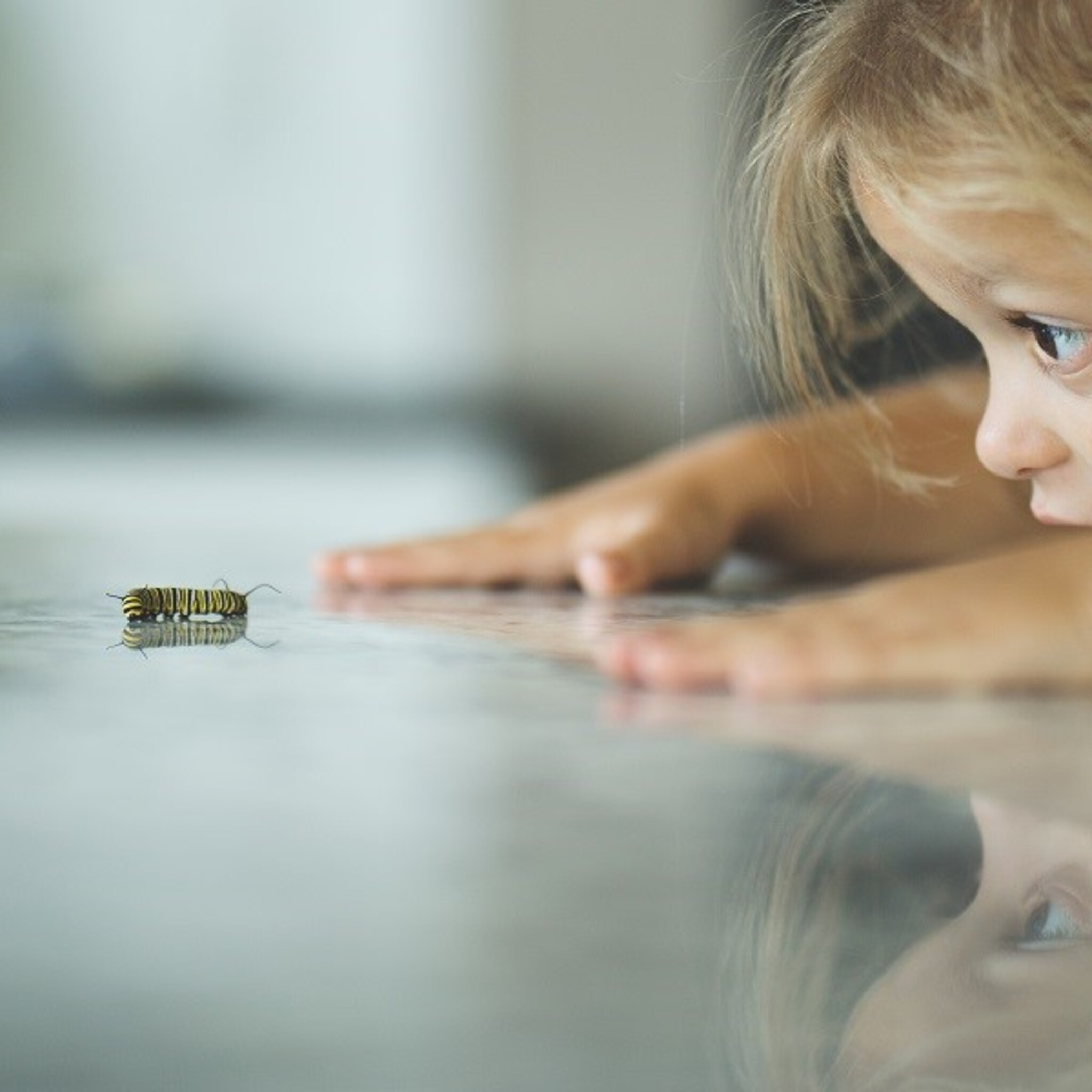 expert-verklaart-dit-is-waarom-kinderen-insecten-dood-maken