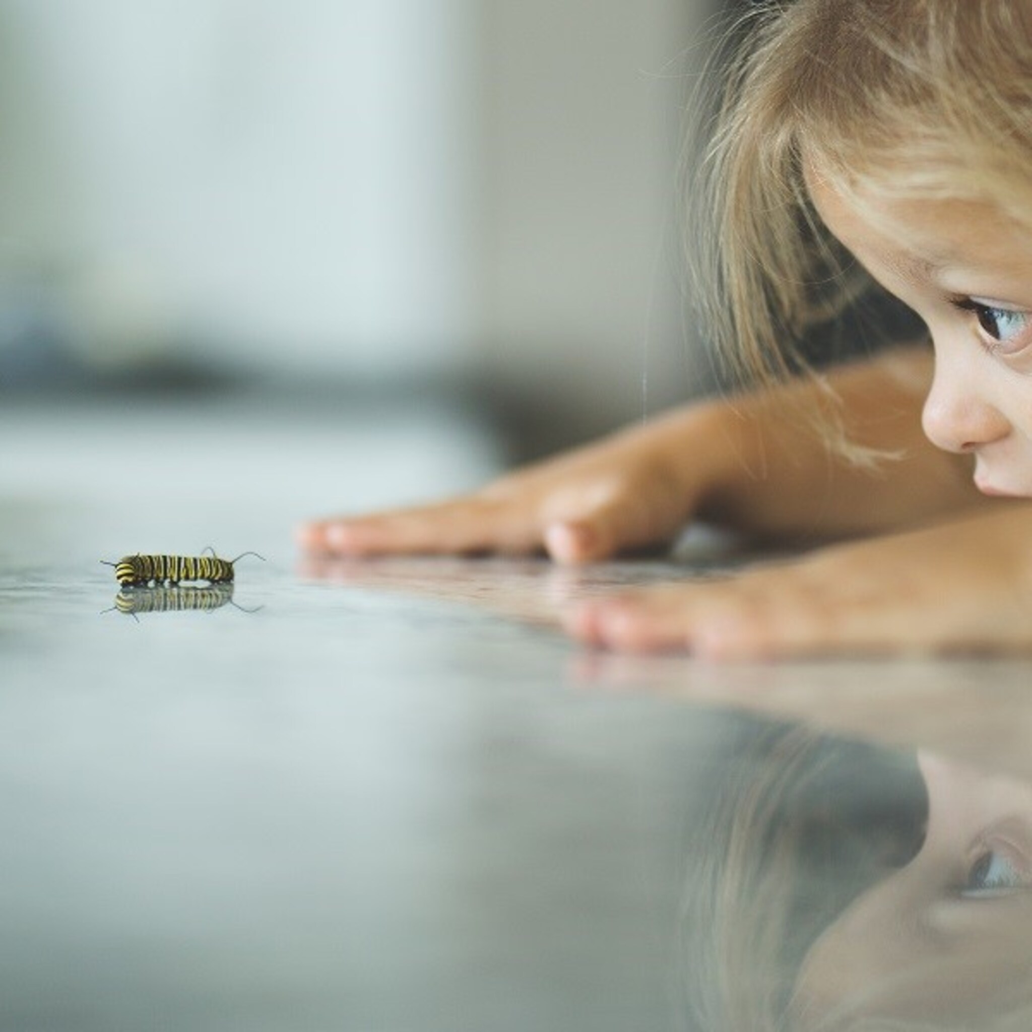 expert verklaart dit is waarom kinderen insecten dood maken