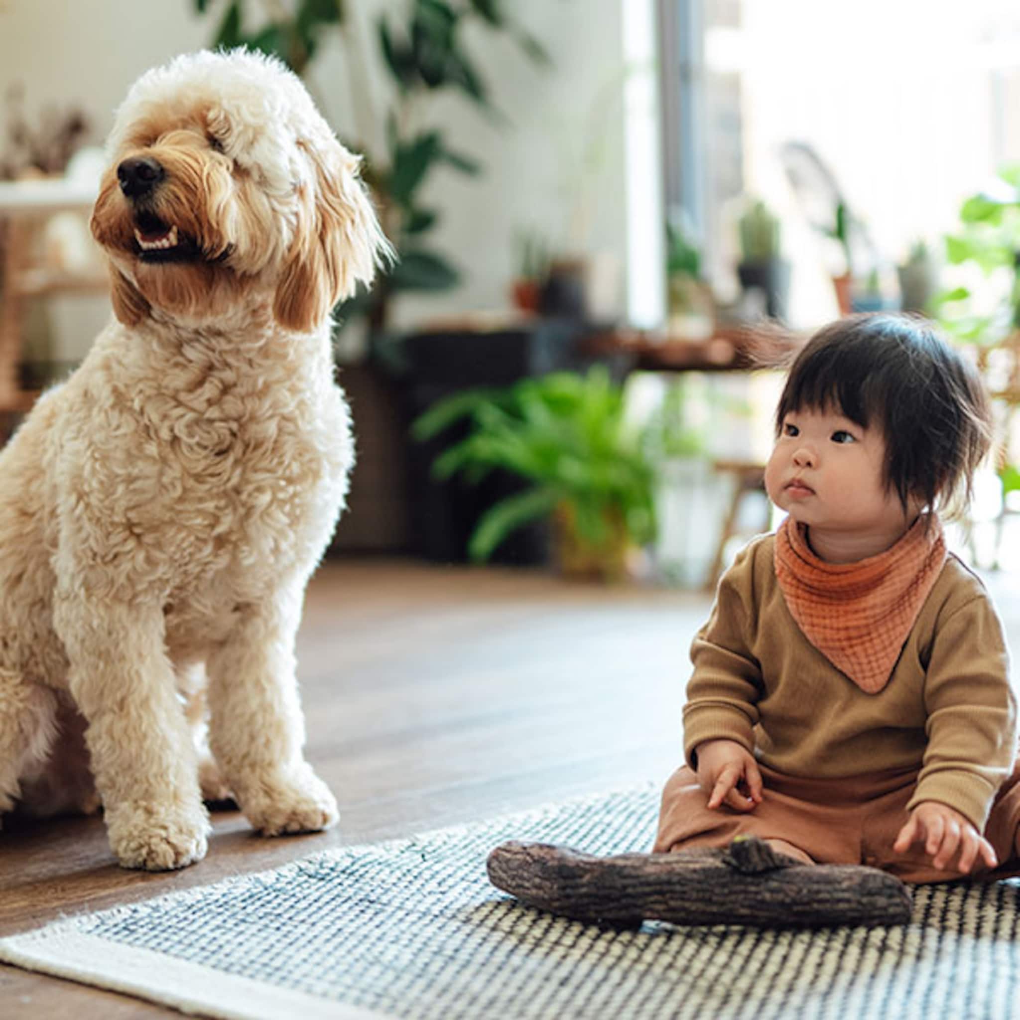 24x babynamen geinspireerd op honden en kattennamen