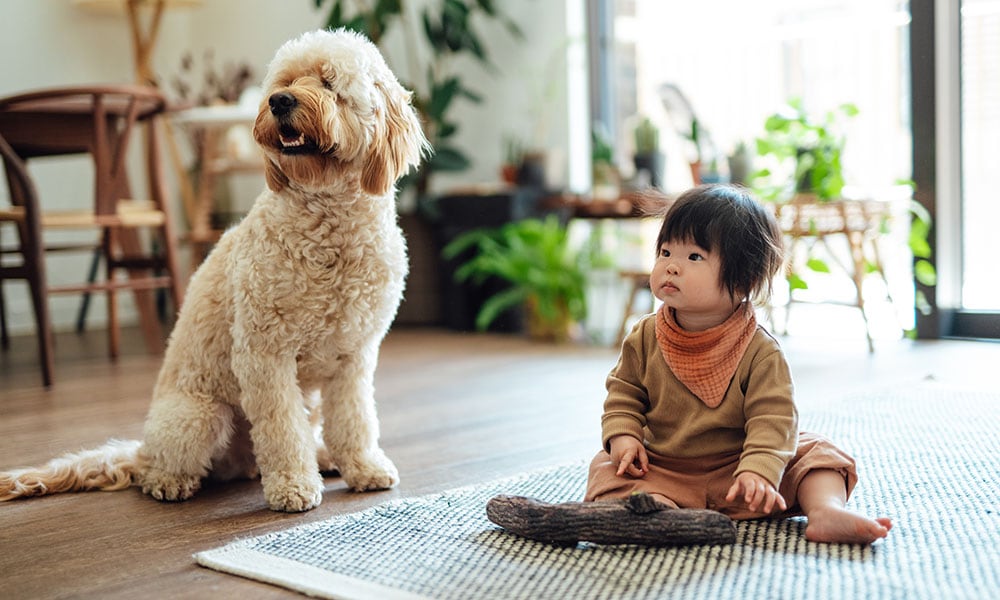 Babynamen geïnspireerd op honden- en kattennamen Getty Images