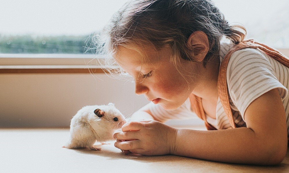 kind heeft een denkbeeldig vriendje Getty Images