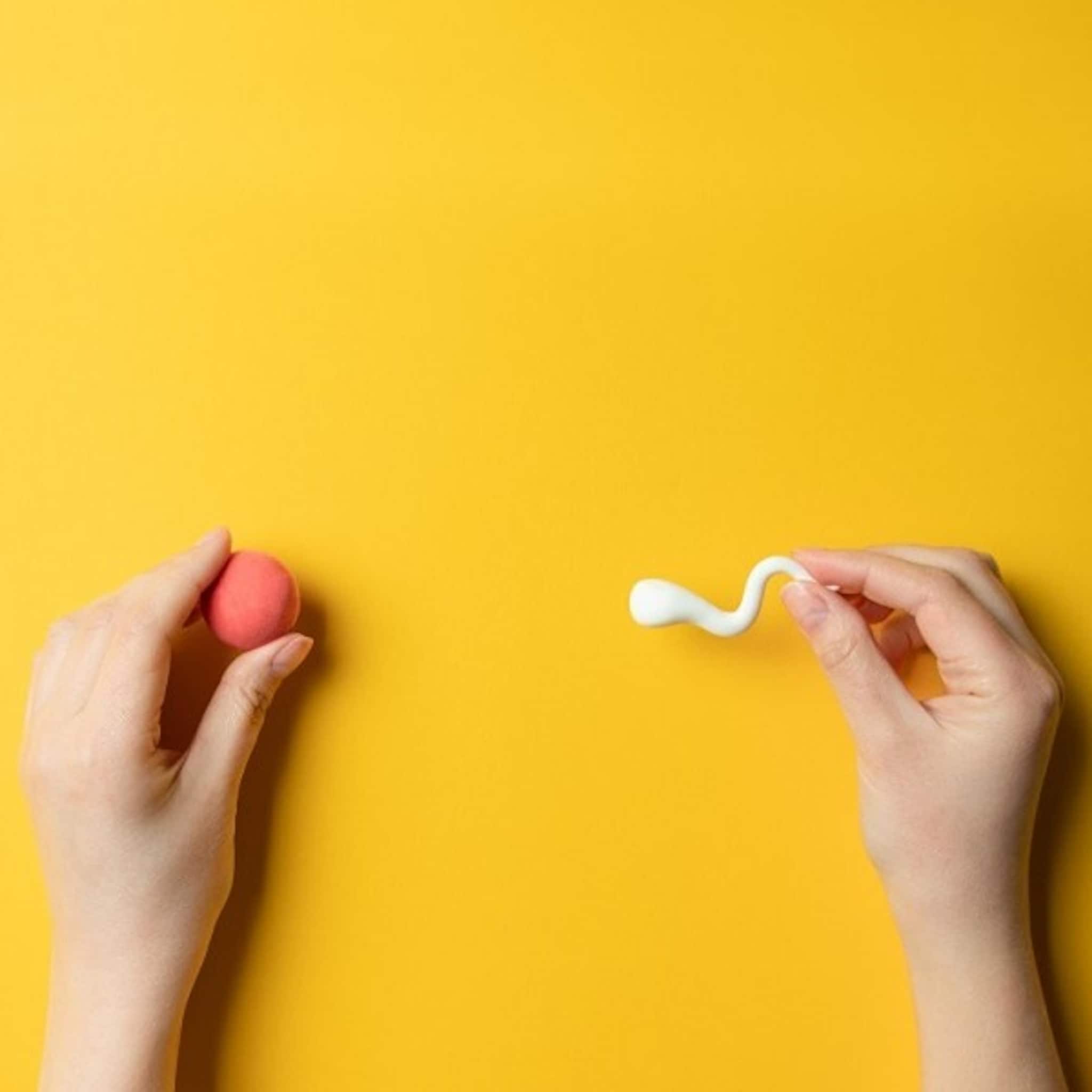 goed nieuws eisprong monitoren voor ivf kan net zo goed thuis