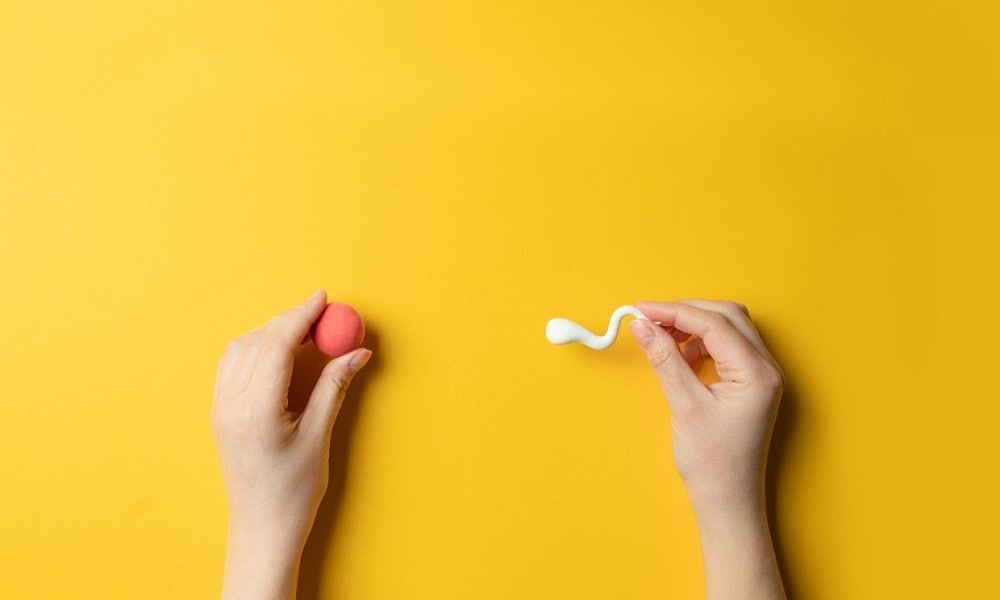 Goed nieuws: eisprong monitoren voor ivf kan net zo goed thuis Getty Images/iStockphoto
