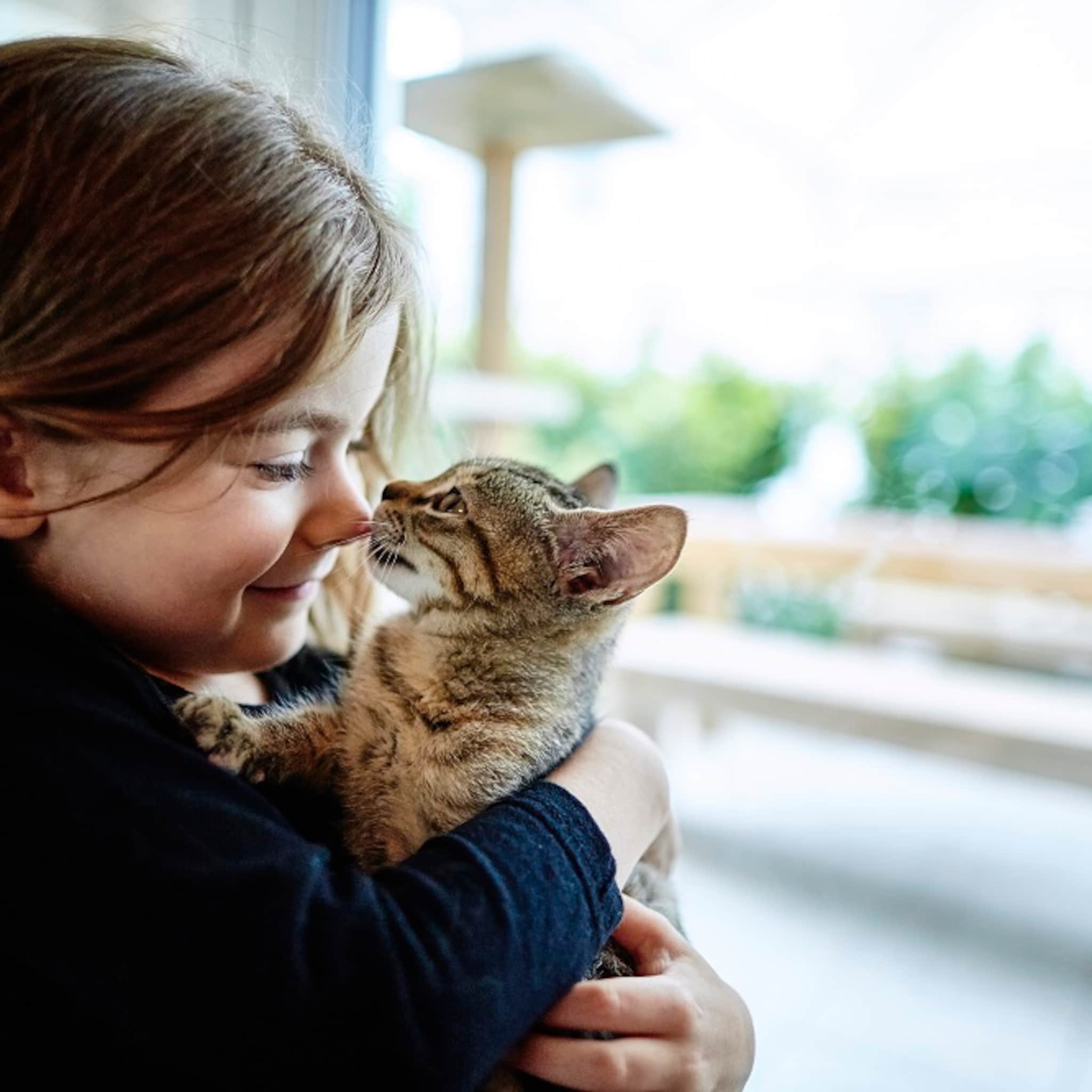 minder kans op voedselallergie met een hond of kat in huis maar pas op met hamsters