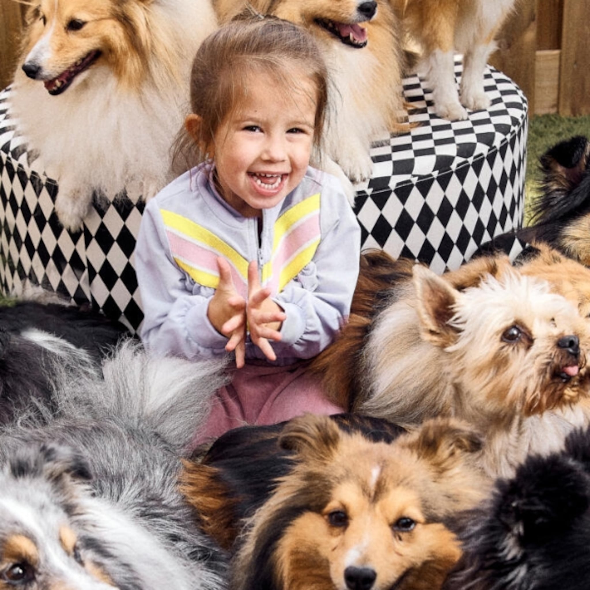 jaylee heeft acht honden thuis ze leerde als baby kruipen door hen te volgen