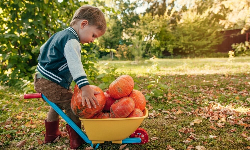 Kind met pompoenen Getty Images