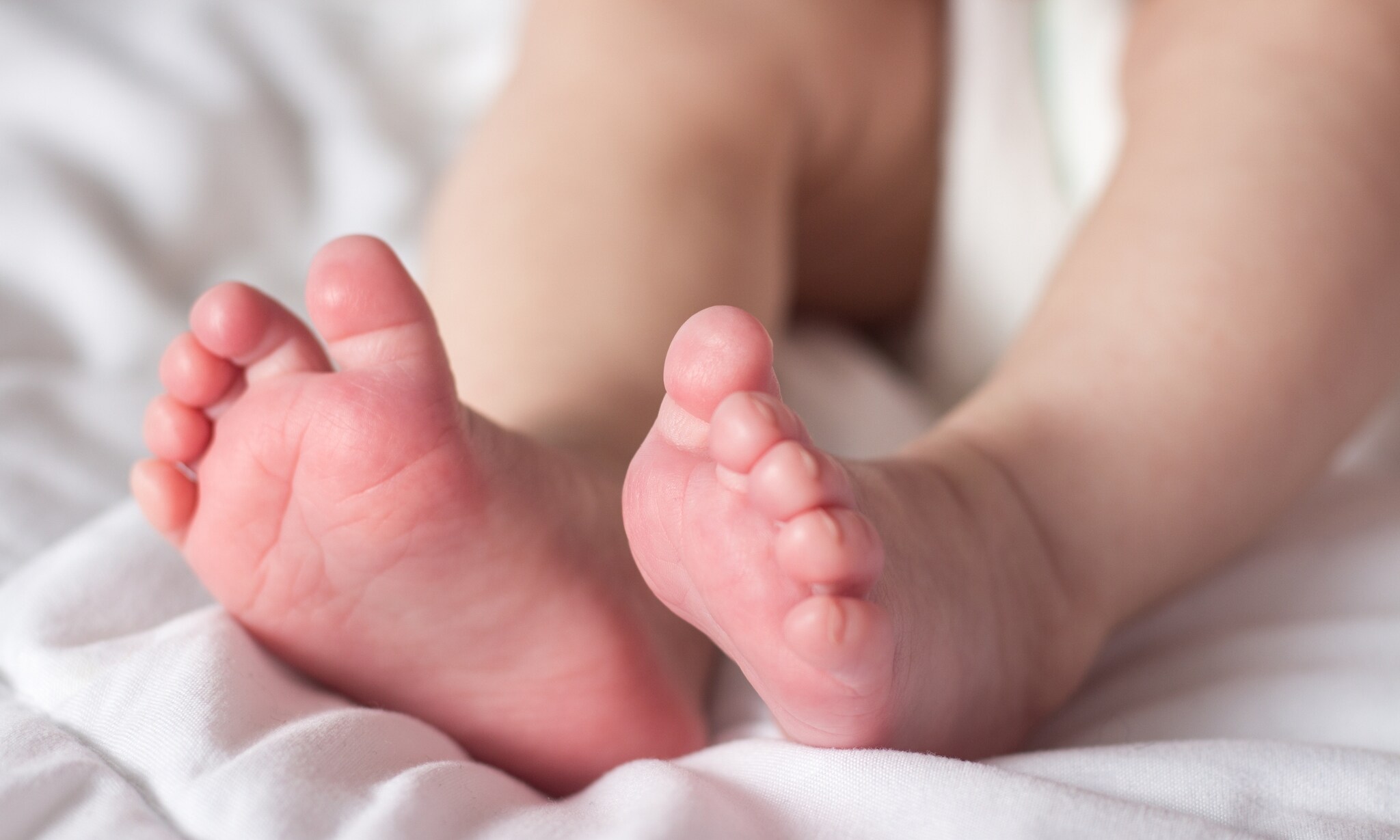 Onderzoek: viagra kan baby's helpen bij hersenbeschadiging door zuurstofgebrek Getty Images