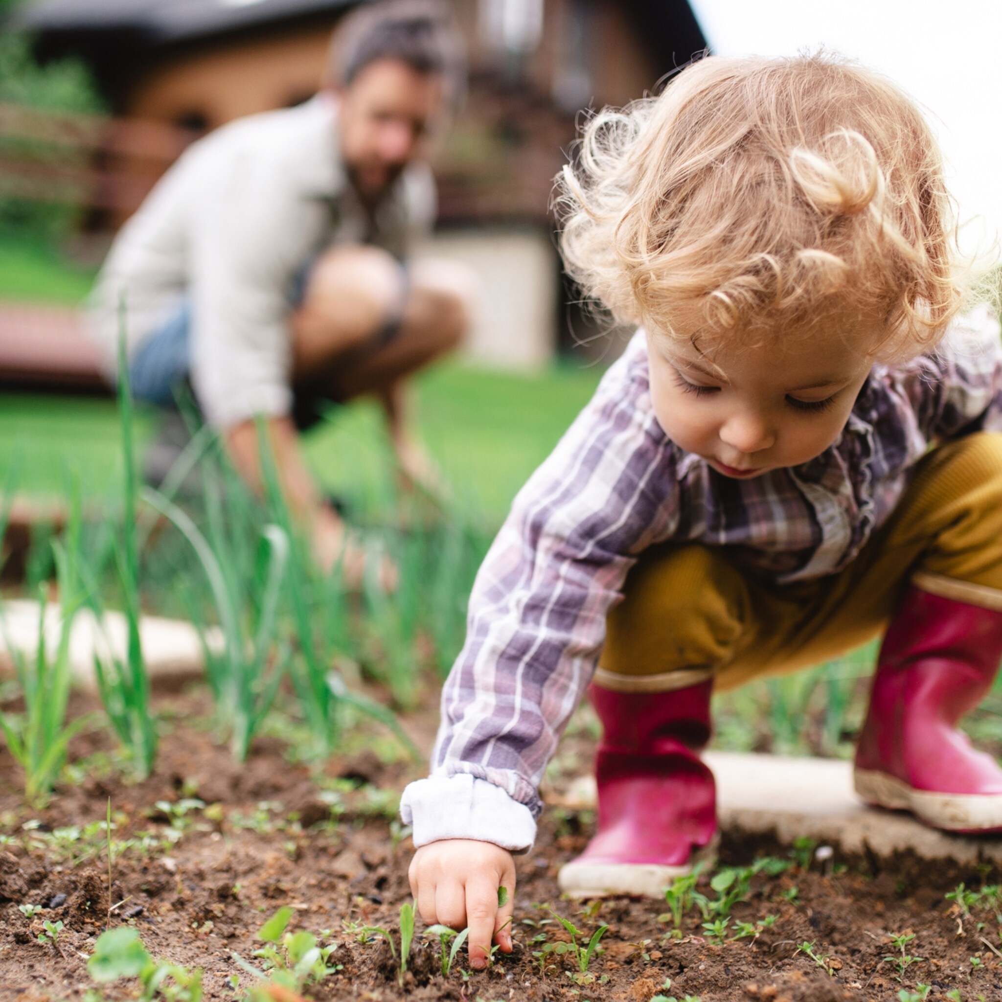 tuinieren met kinderen dit kunnen ze zelf al doen