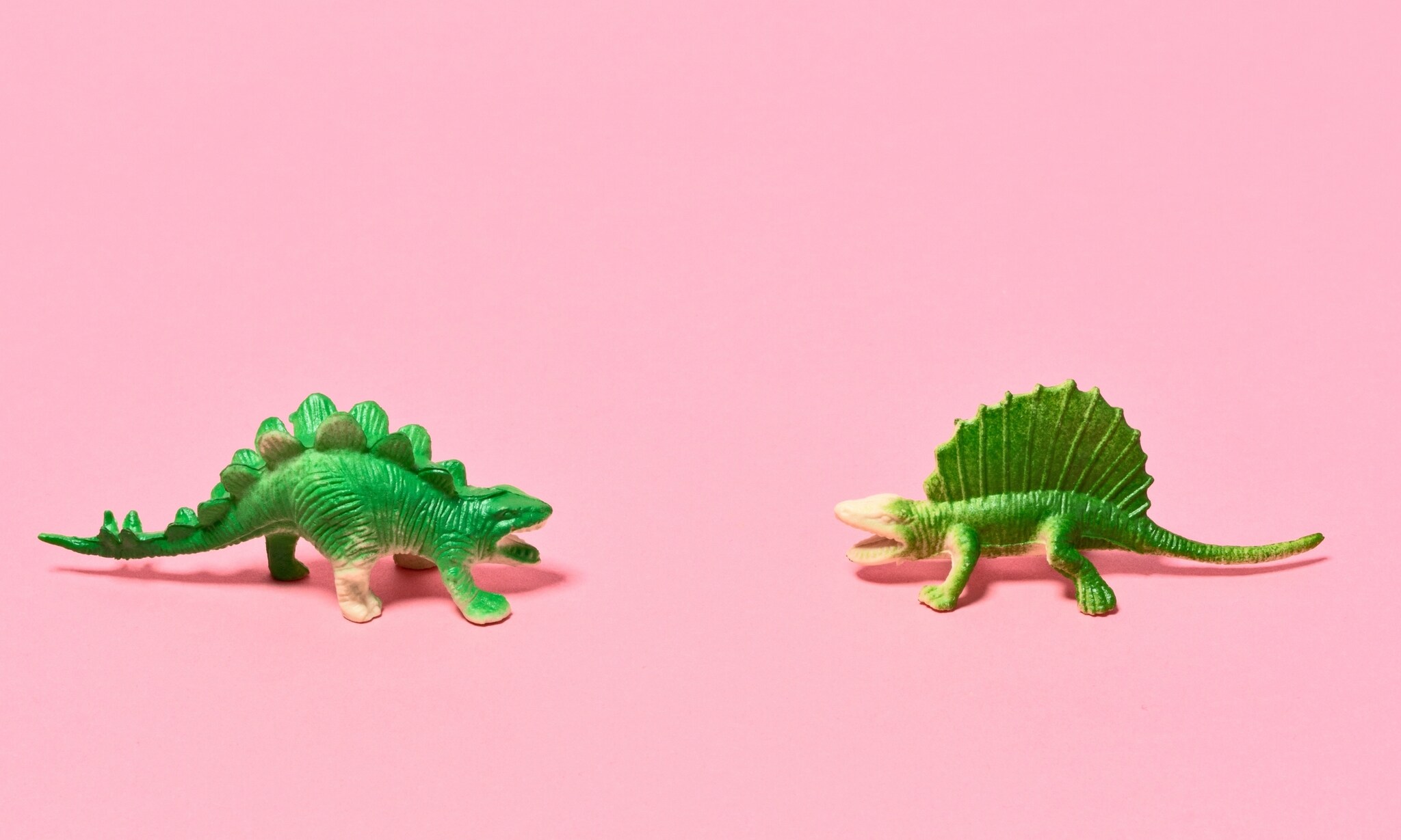 gekke regels Getty Images