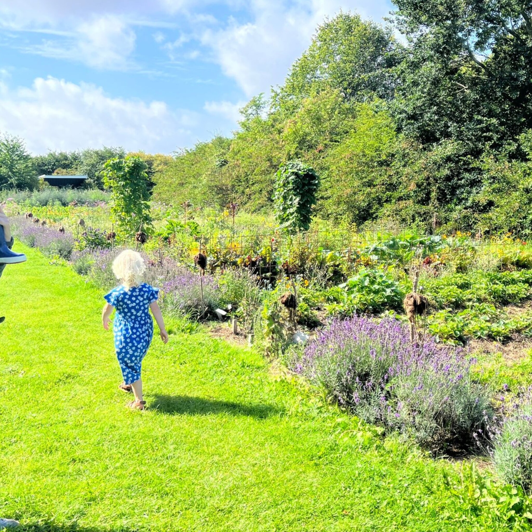 denemarken met kinderen dit is het land waar kalmte en ruimte de norm zijn