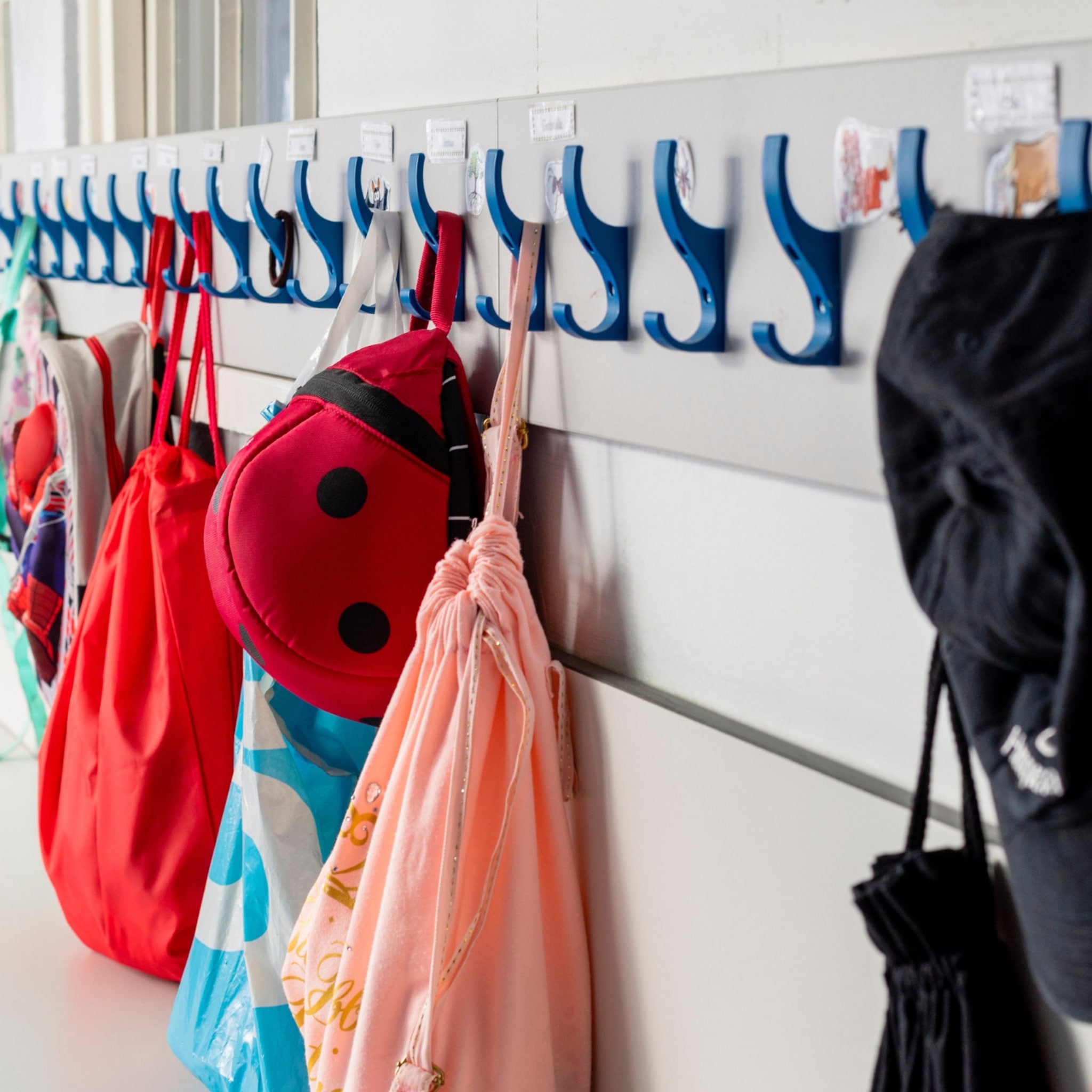 hup naar school kabinet onderzoekt verlaging leerplicht naar 4 jaar