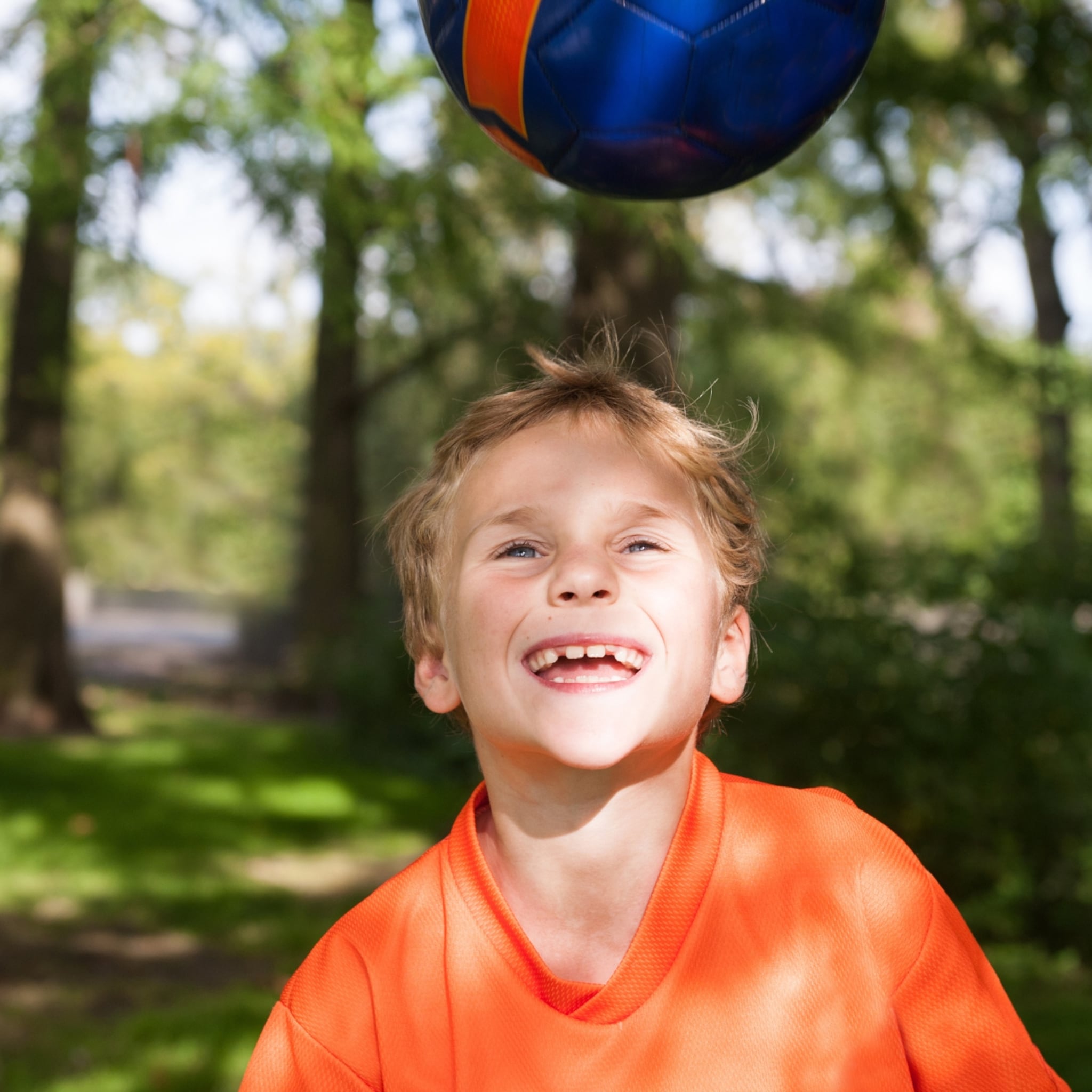 dit-is-wat-je-moet-weten-over-de-koningsspelen