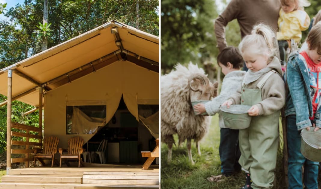 Glampingtent in Oosterwolde Gelderland Natuurhuisje.nl