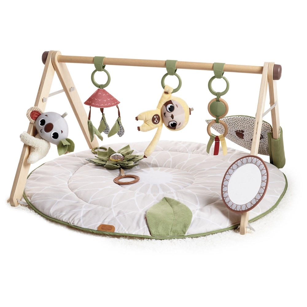 tiny love babygym Tiny Love