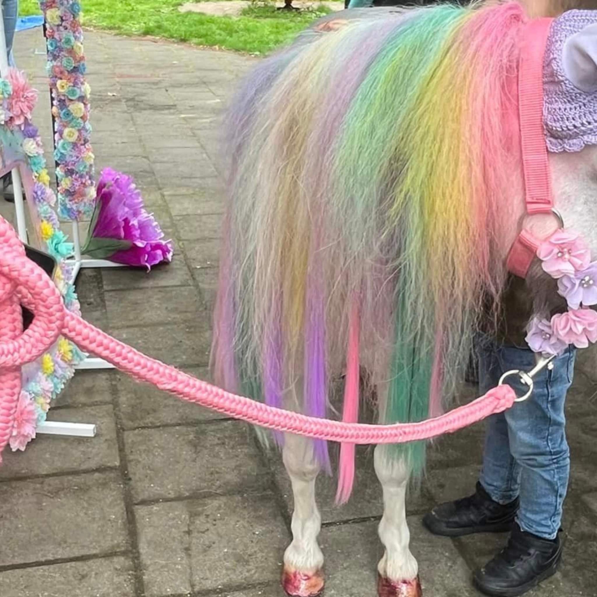trend kinderfeestje met pony verkleed als unicorn