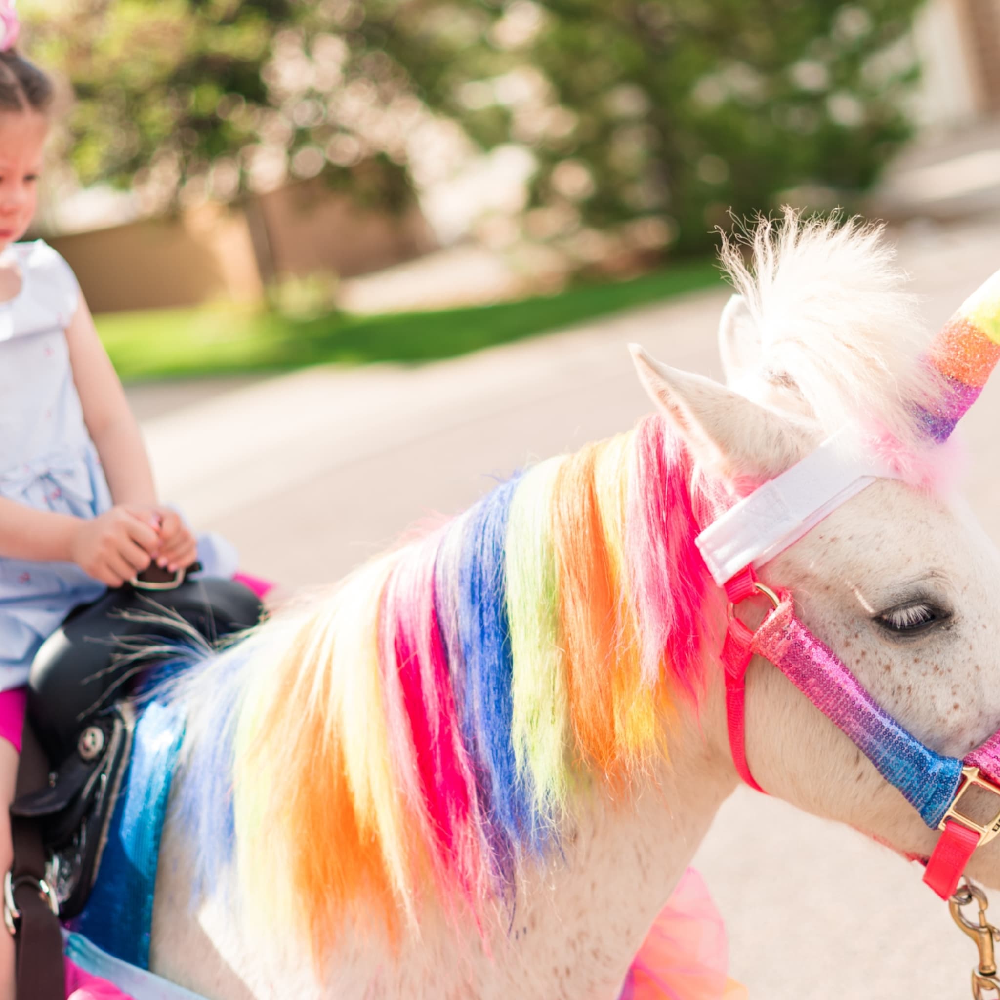 kinderfeestje met pony als unicorn dierenbescherming wil het liefst een verbod