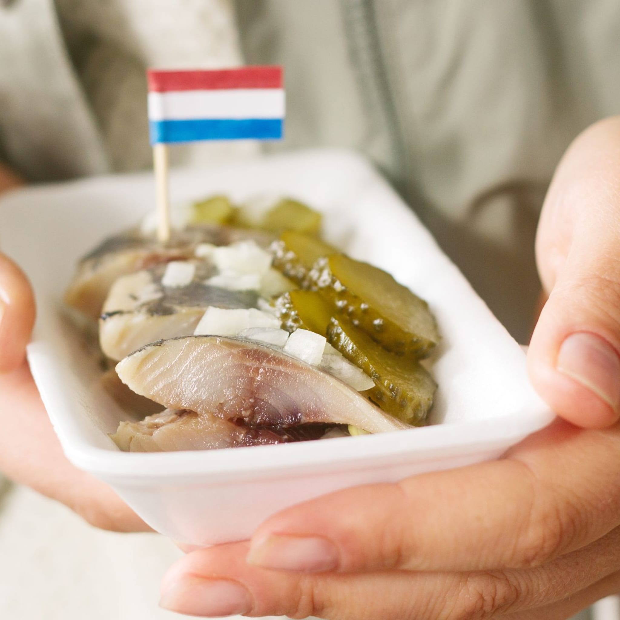 haring eten als je zwanger bent mag dat