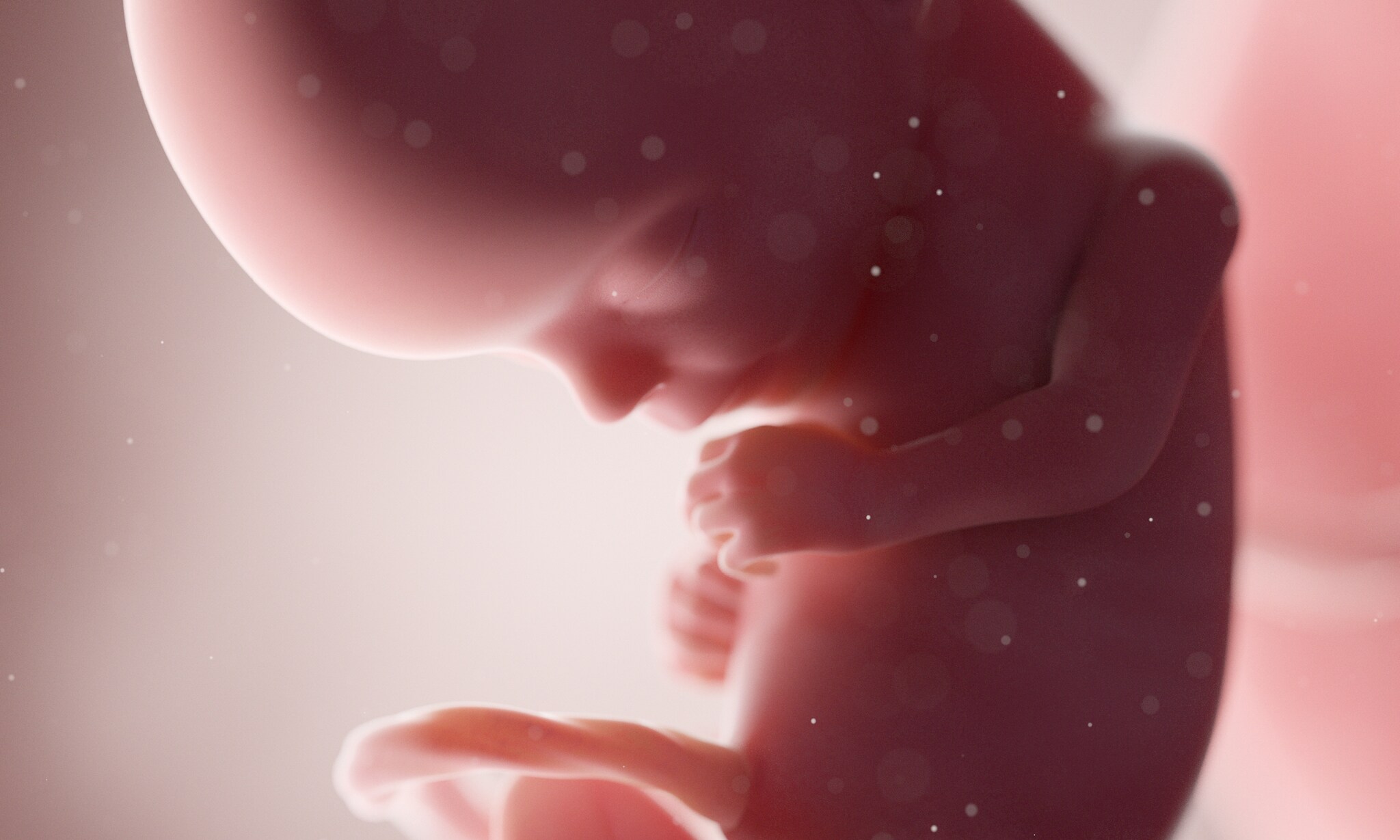 15 weken zwanger Getty Images