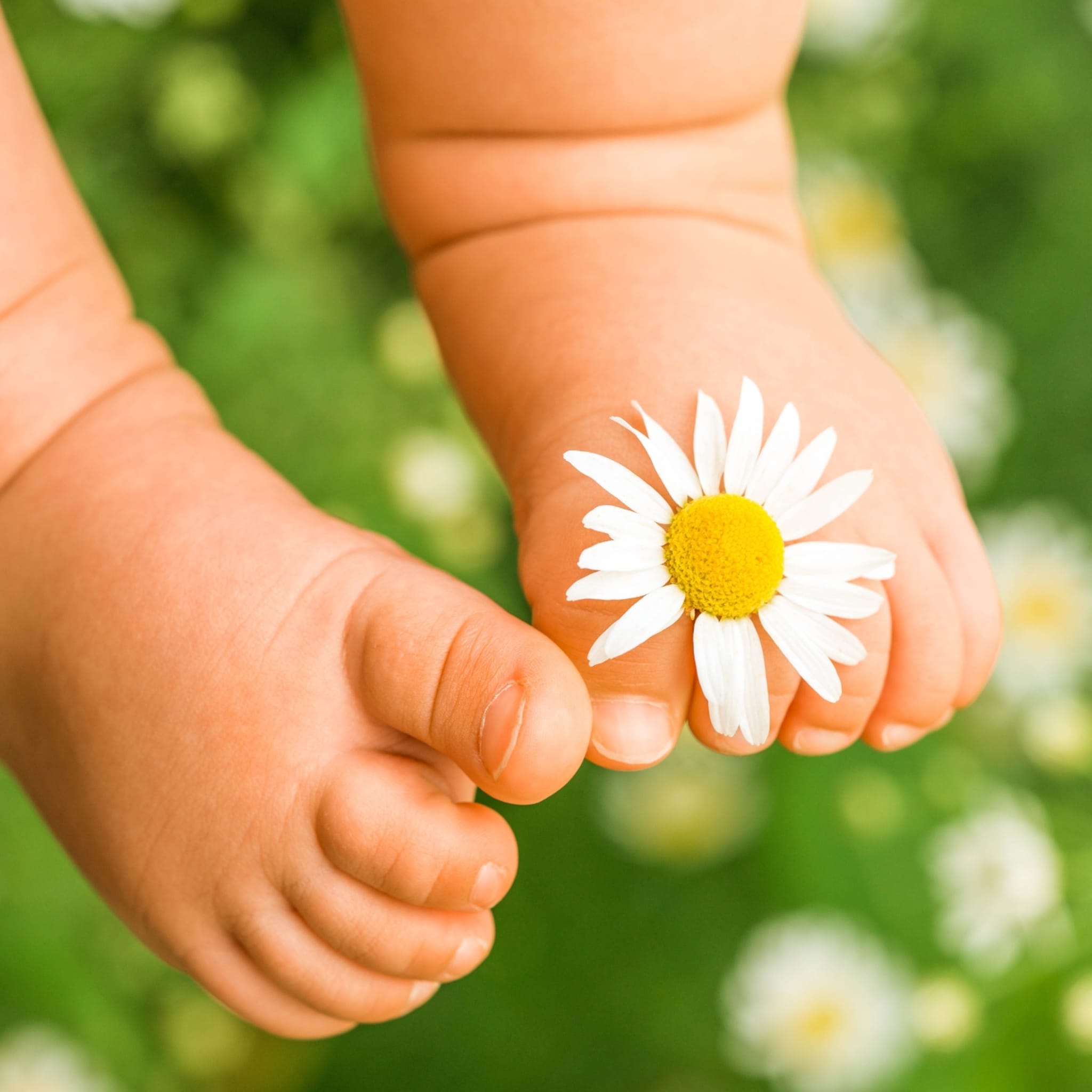 populaire babynamen seizoenen