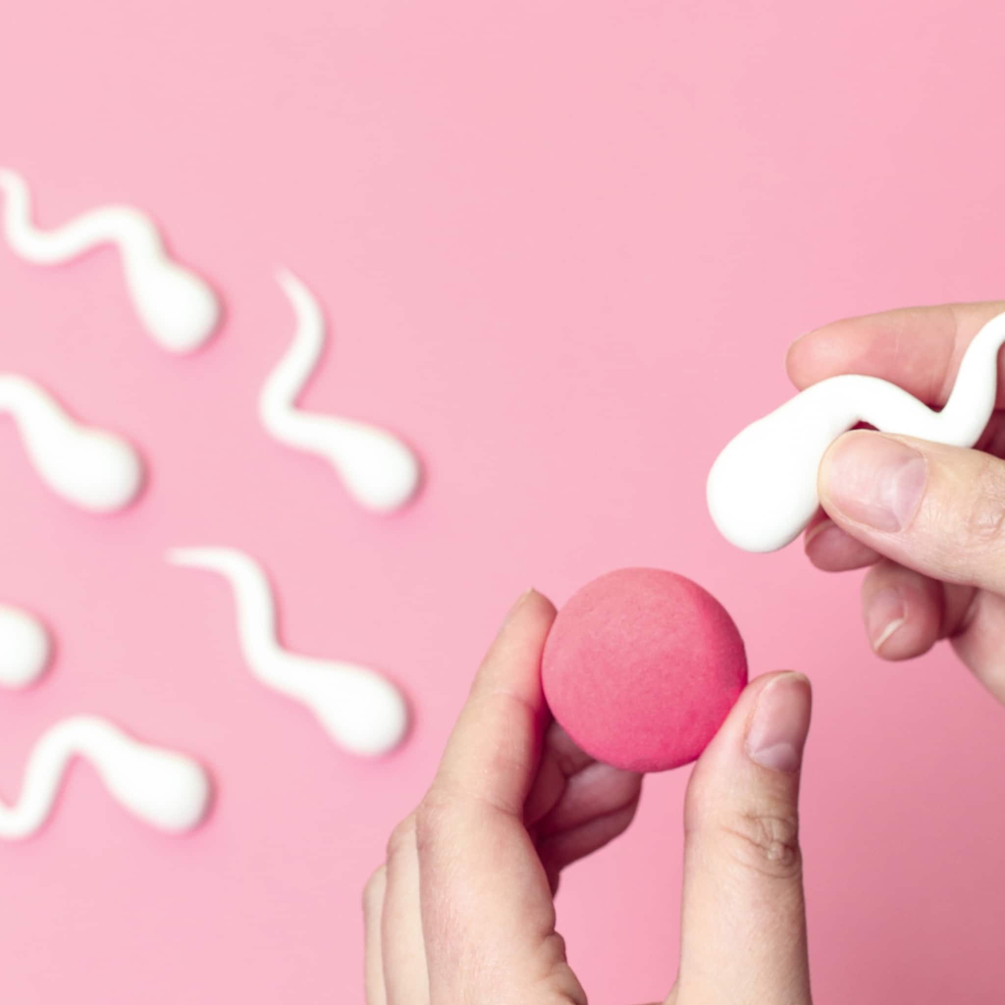 start ivf tips die helpen