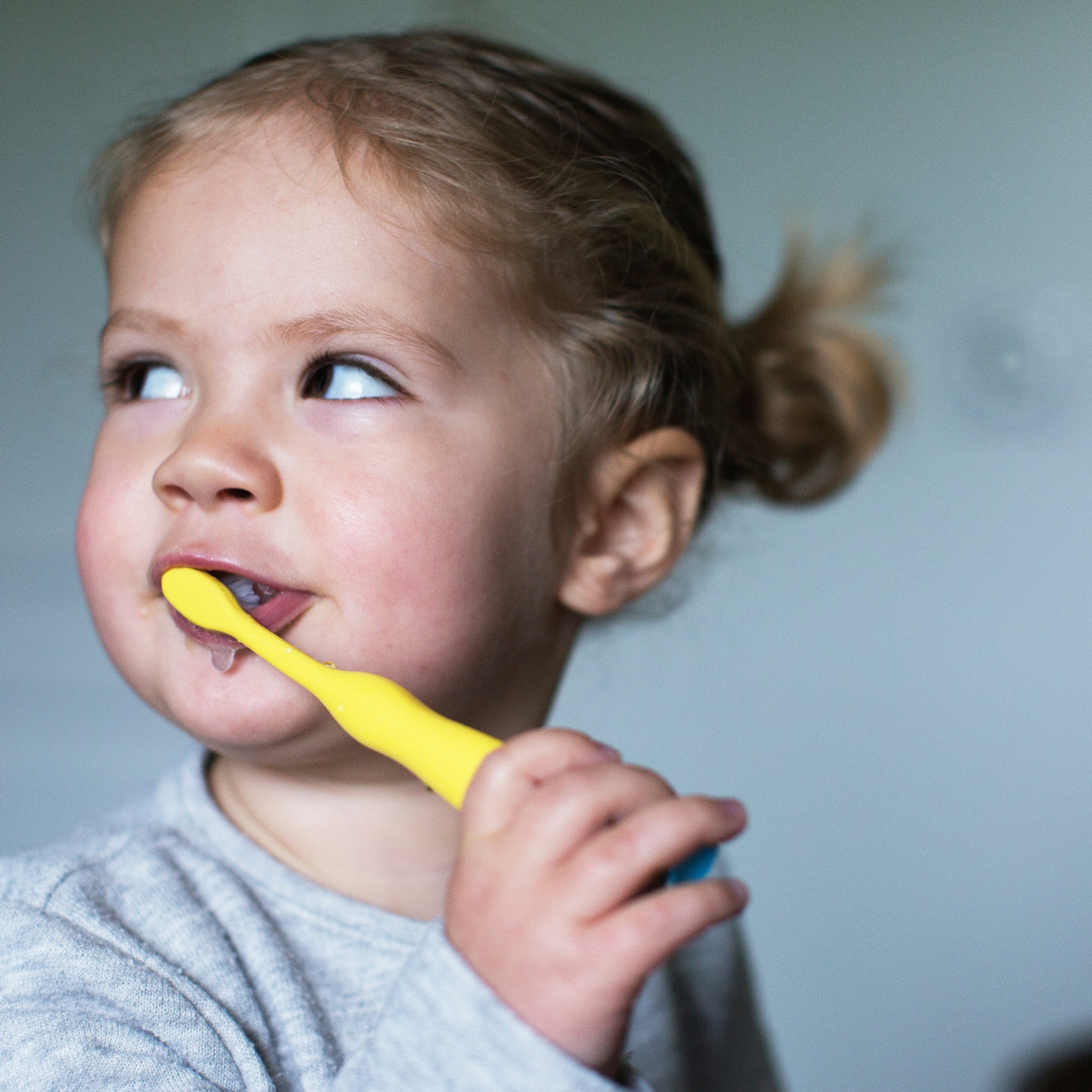 ontwikkeling melkgebit bij peuters en kleuters