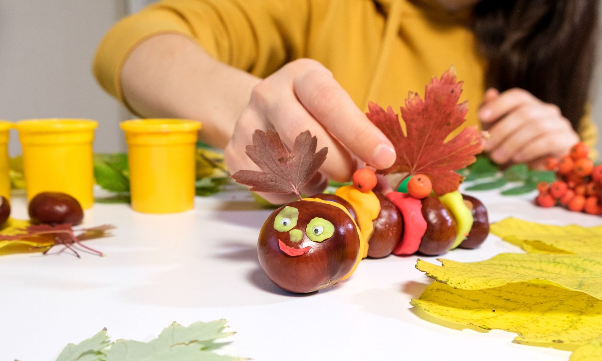 Herfstknutsels. Getty Images