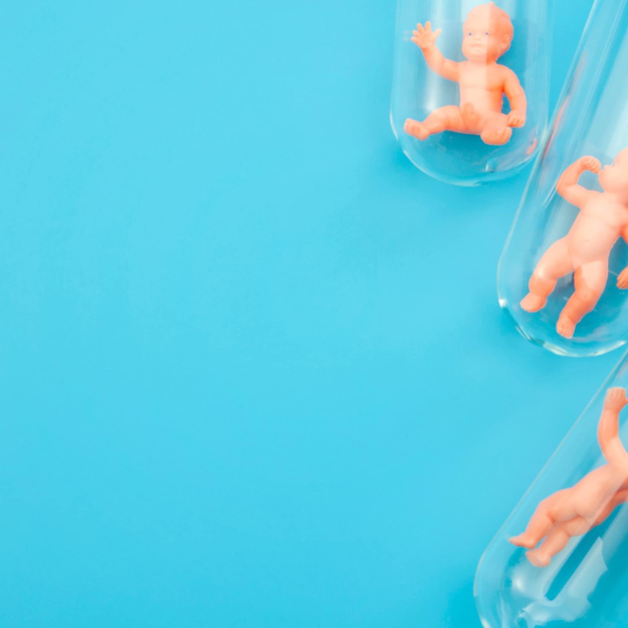 alles over ivf in vitrofertilisatie