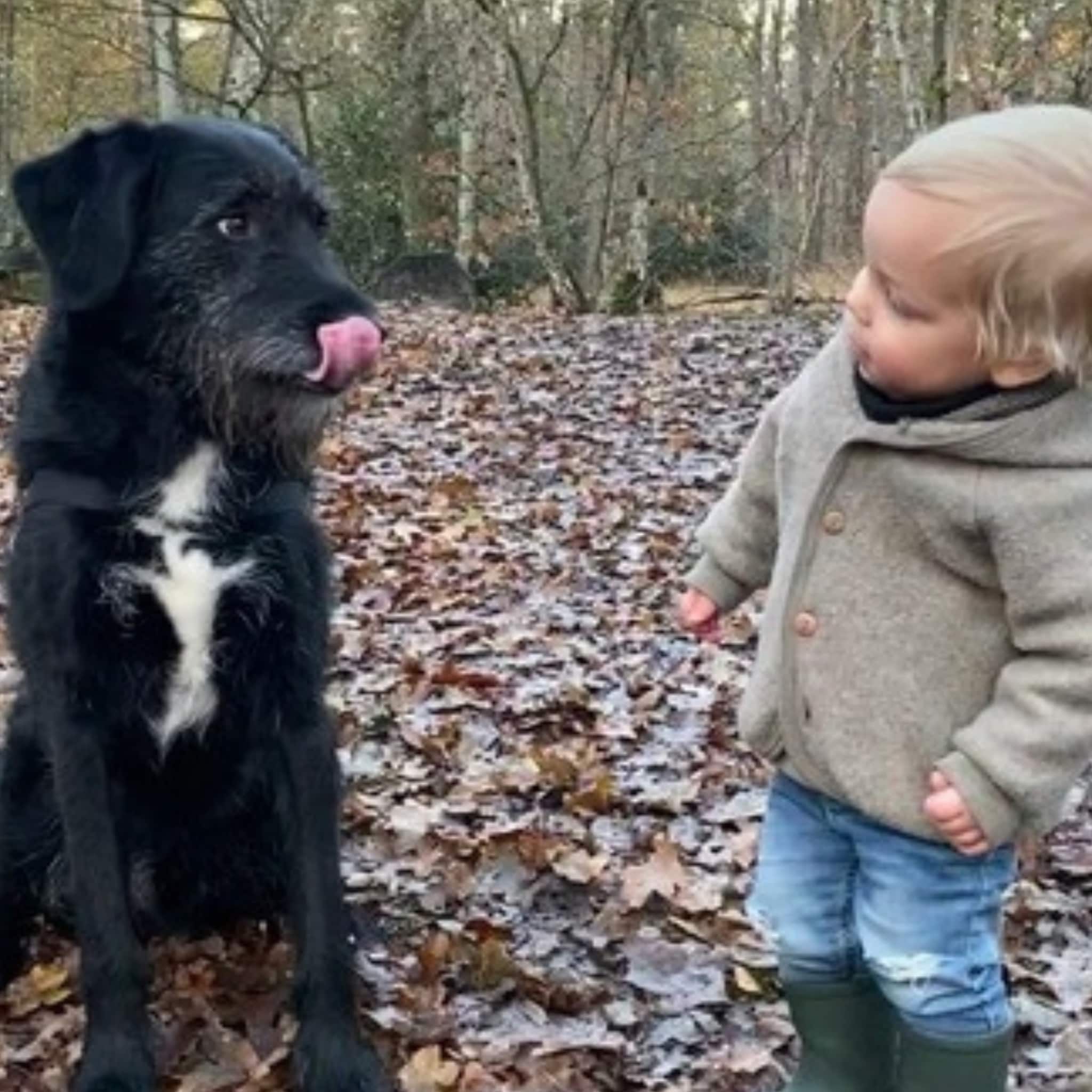 puppycursus saskia opvoeding zonen