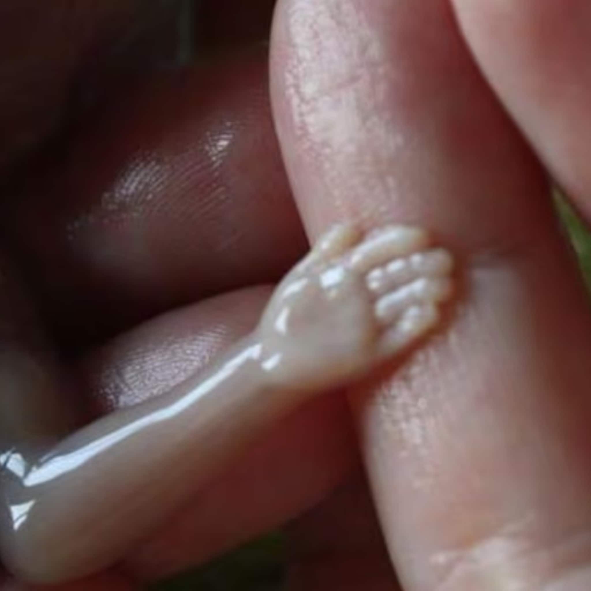 watermethode zorgt voor mooi afscheid baby na miskraam