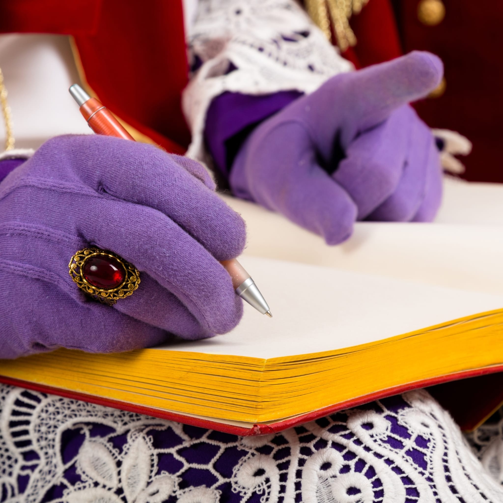 landelijke sinterklaasintocht vianen