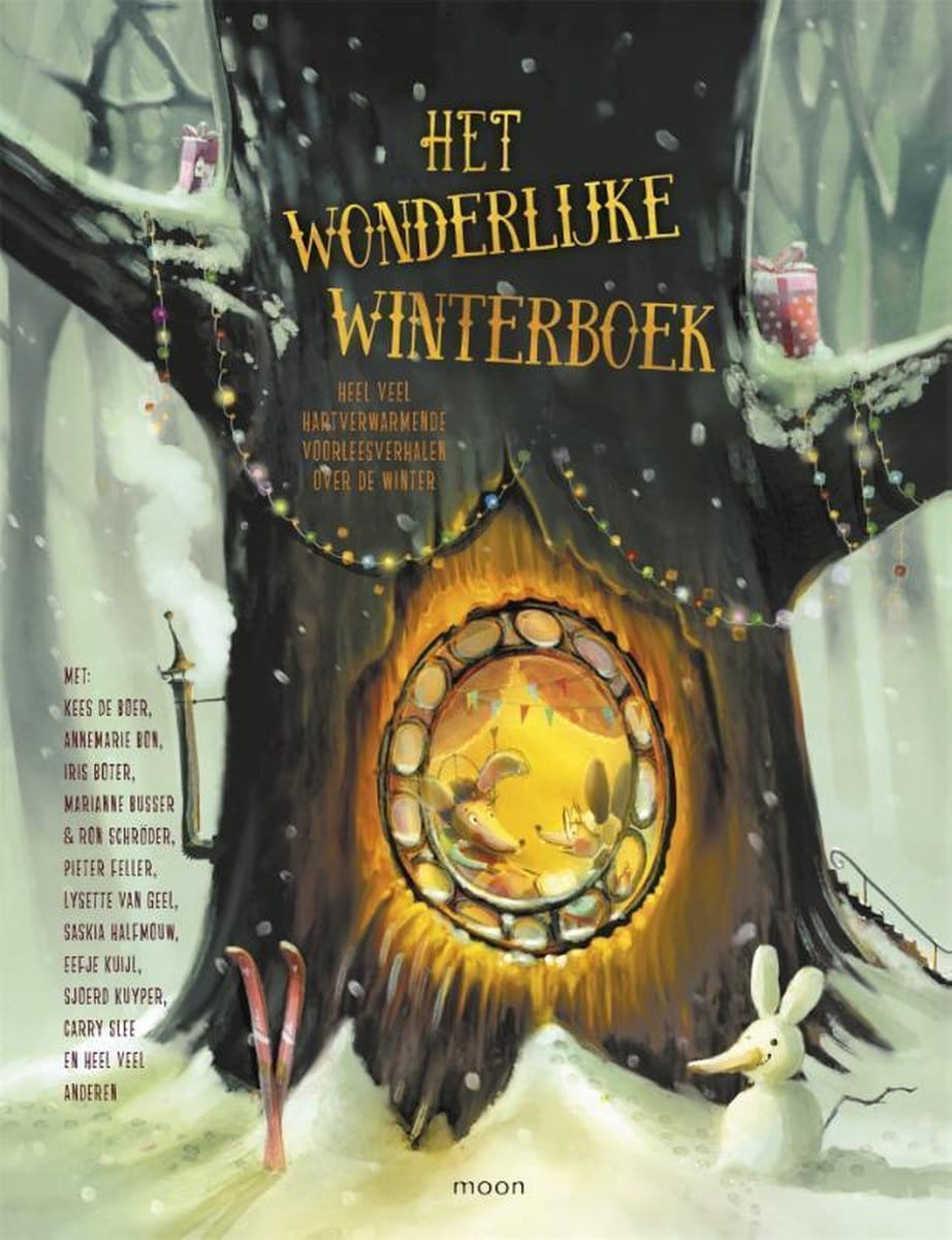 het wonderlijke winterboek Moon