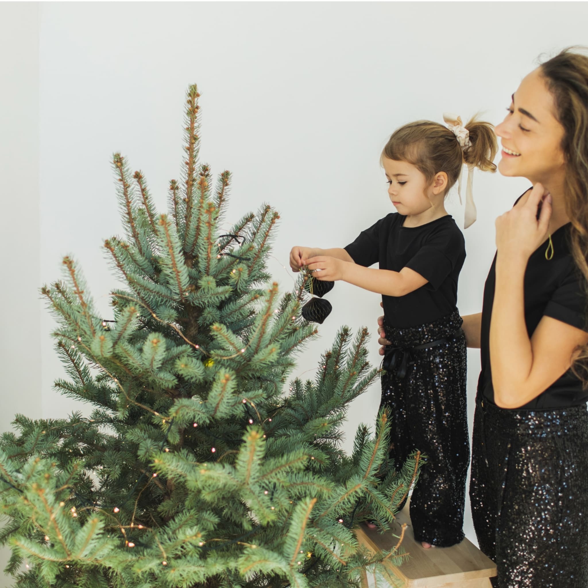 een echte kerstboom zo blijft hij lang goed en voorkom je ongelukken