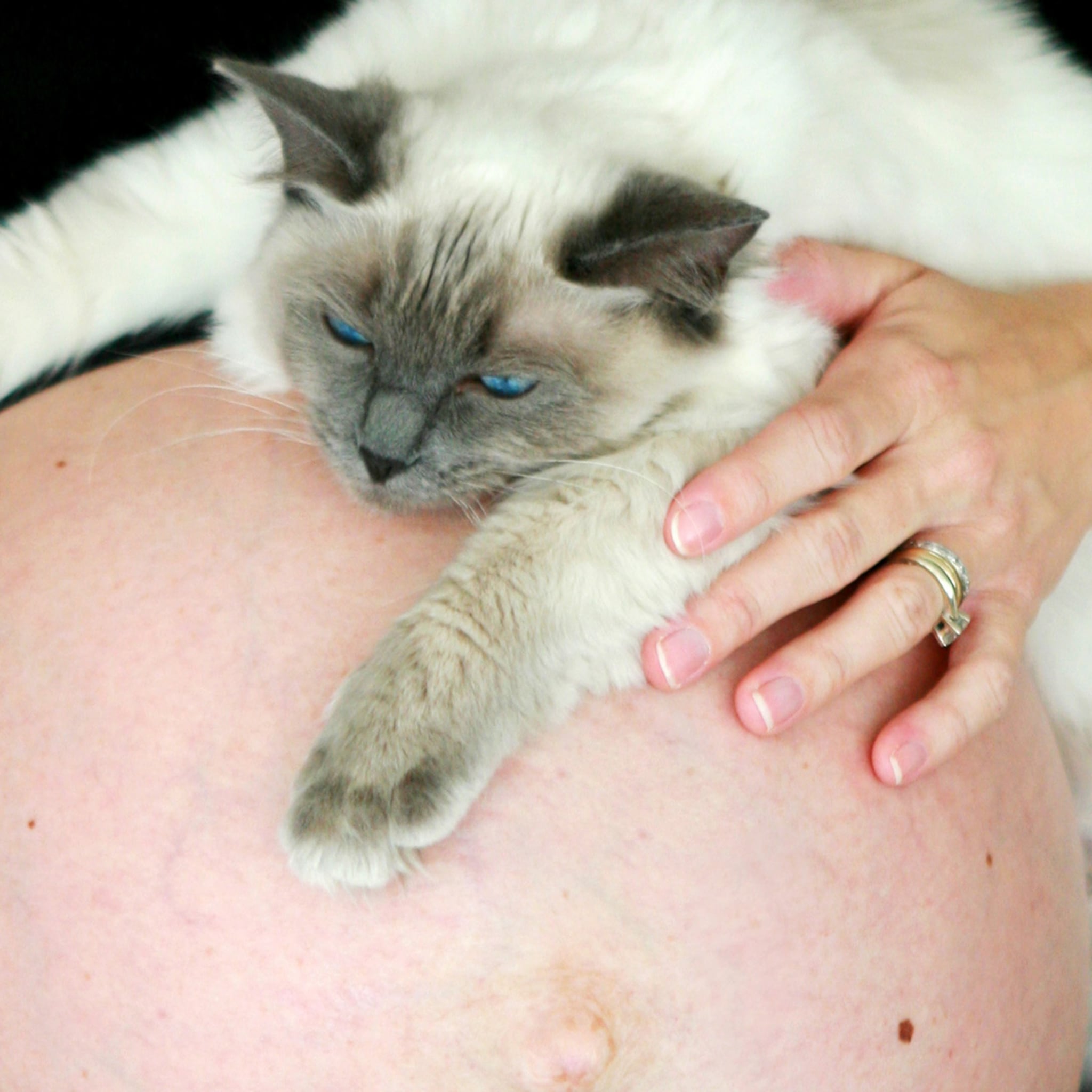 toxoplasmose tijdens de zwangerschap
