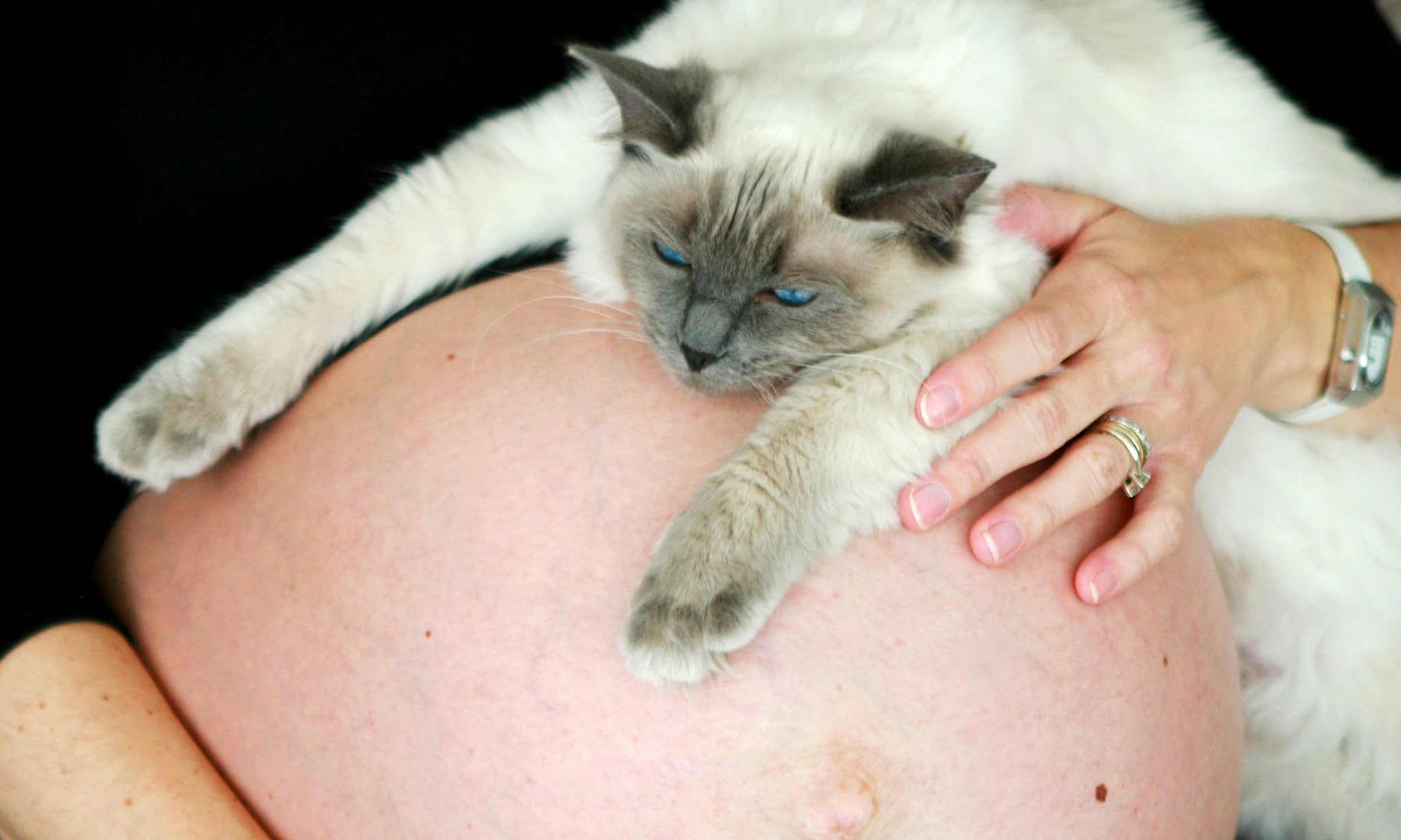 toxoplasmose zwanger Getty Images