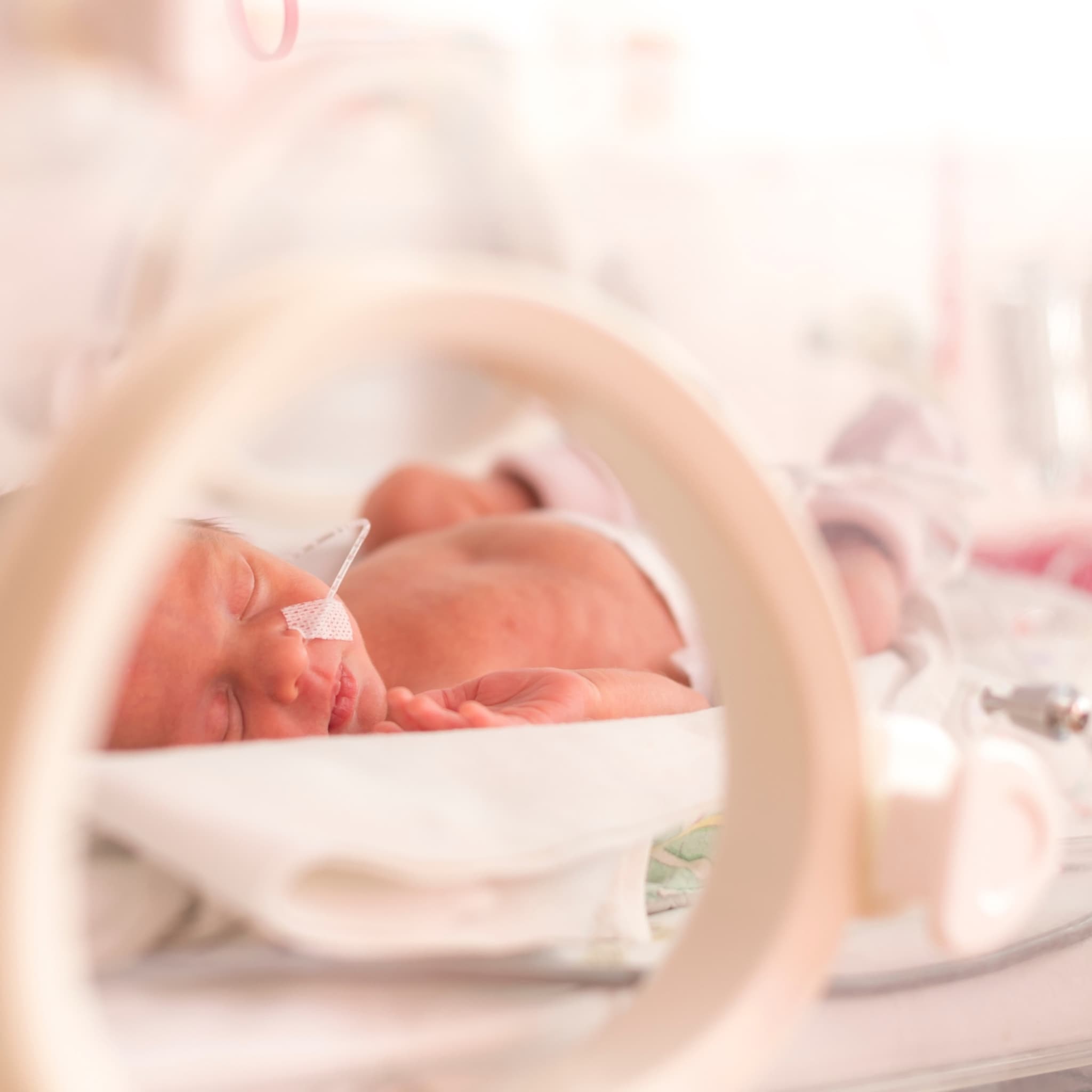 onderzoek navelstreng premature baby