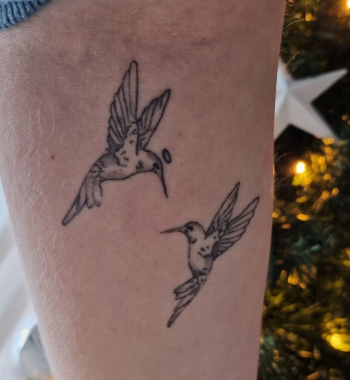 Ijsvogels Privé